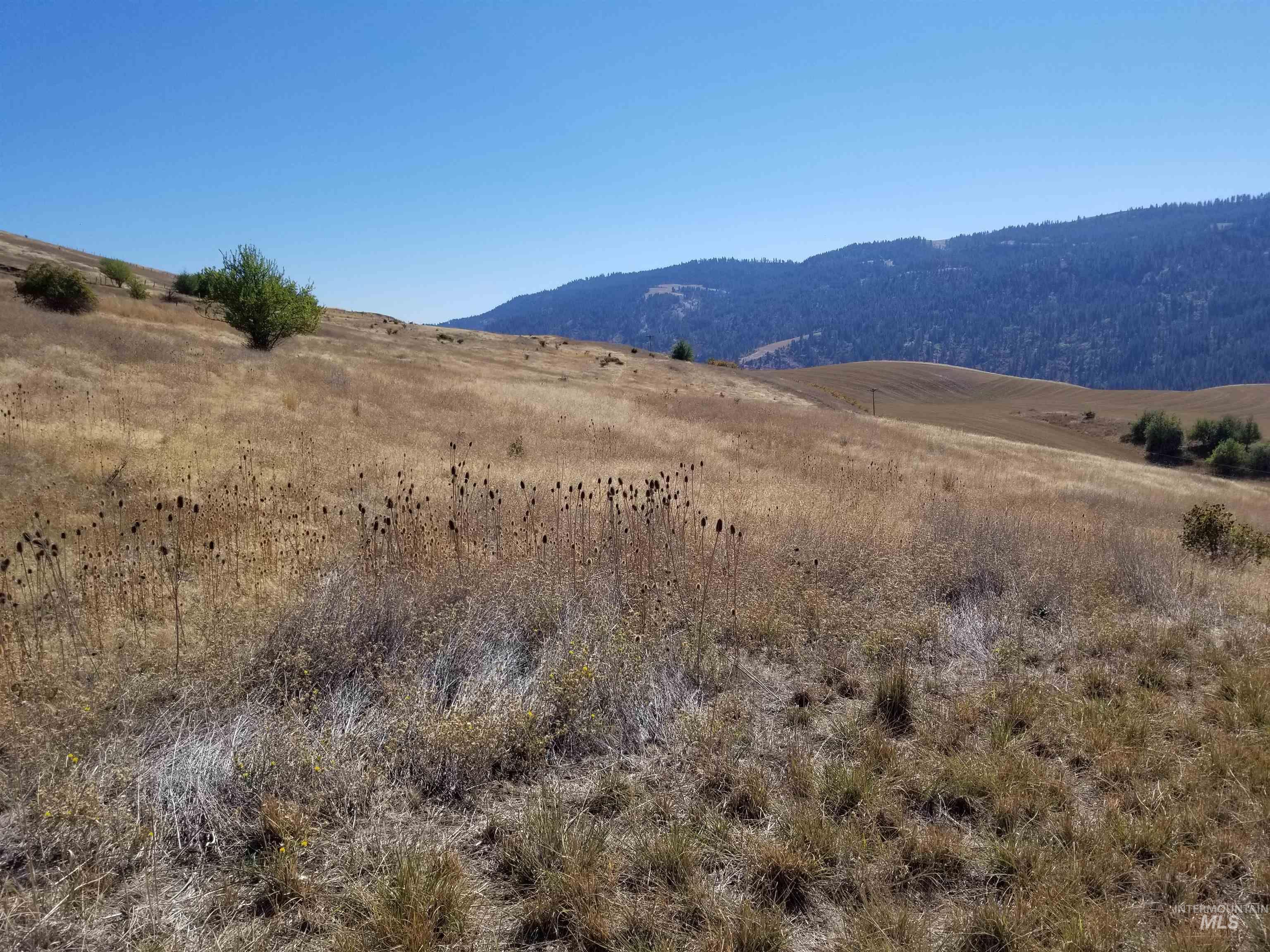 TBD Sunnyside Bench Road, Lenore, Idaho 83541, Land For Sale, Price $285,000, 98873024