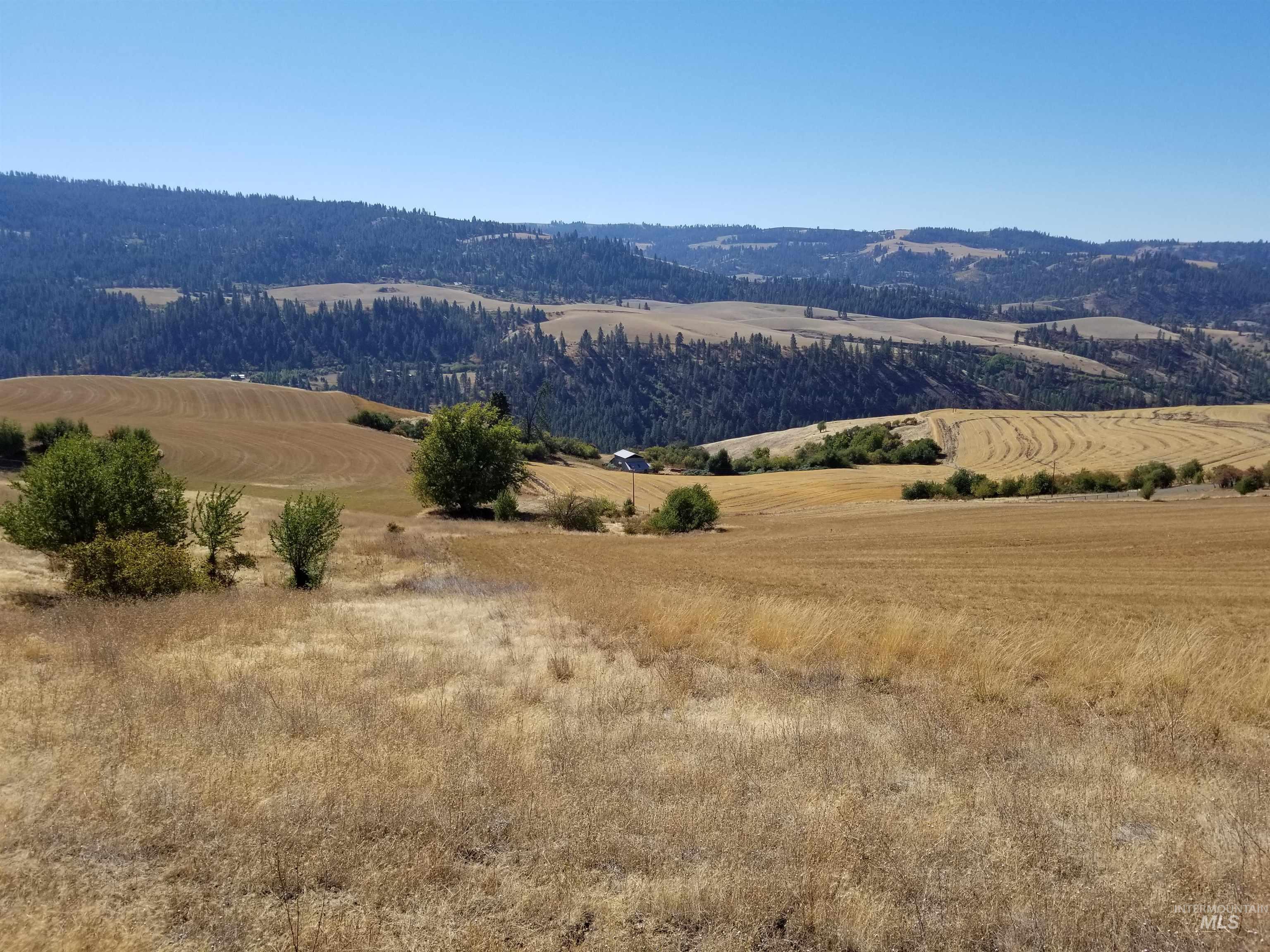 TBD Sunnyside Bench Road, Lenore, Idaho 83541, Land For Sale, Price $285,000, 98873024