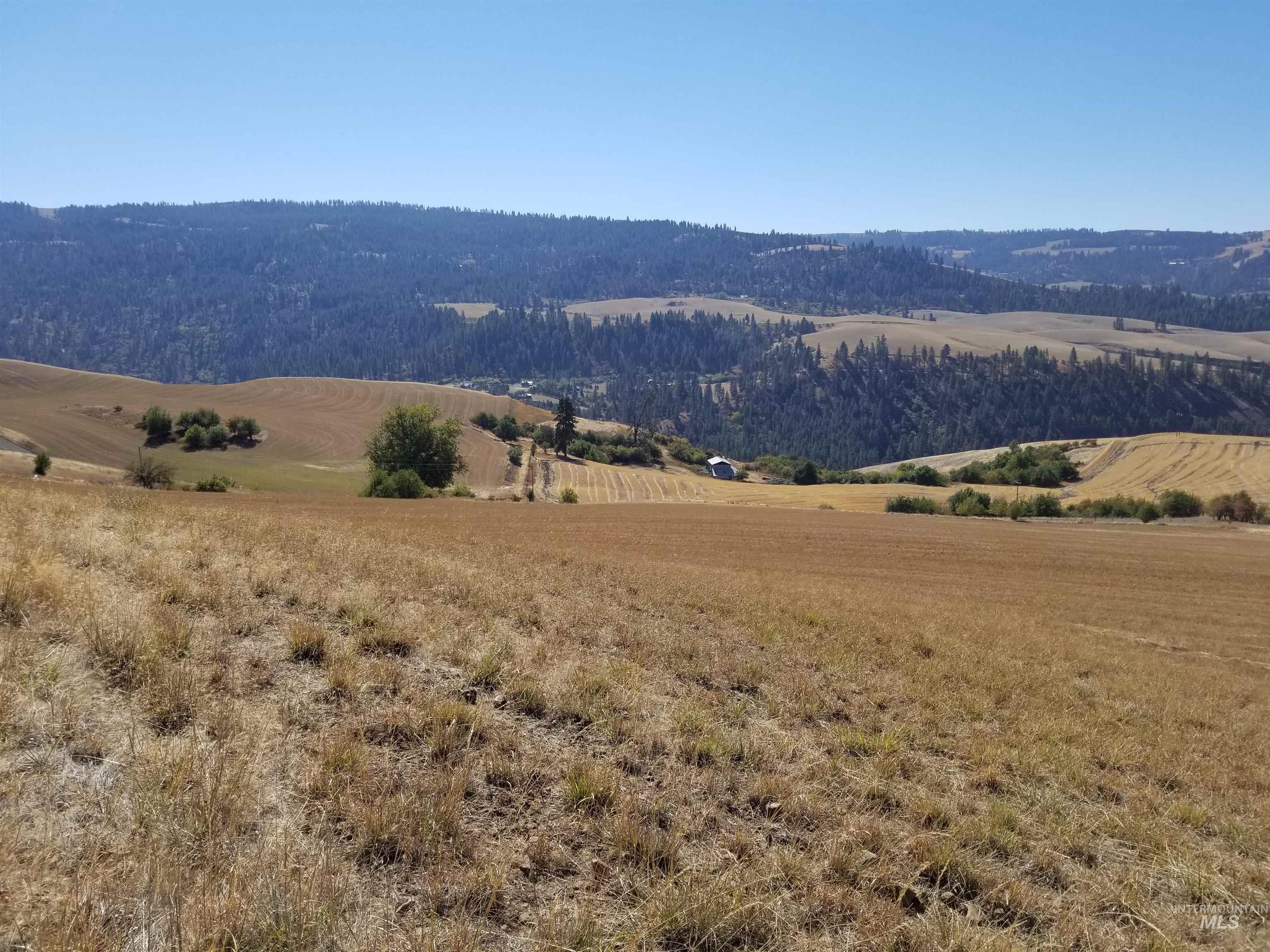 TBD Sunnyside Bench Road, Lenore, Idaho 83541, Land For Sale, Price $285,000, 98873024