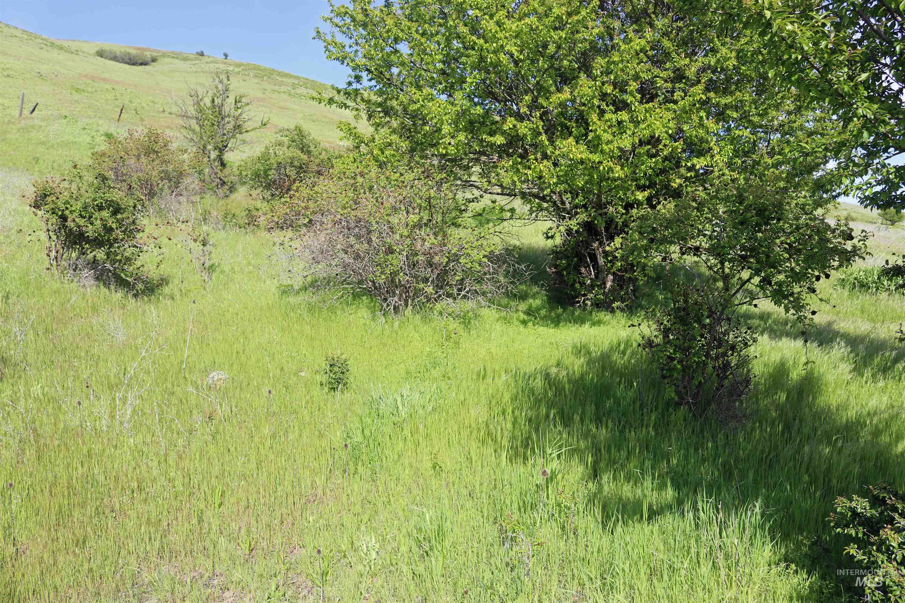 TBD Sunnyside Bench Road, Lenore, Idaho 83541, Land For Sale, Price $285,000, 98873024