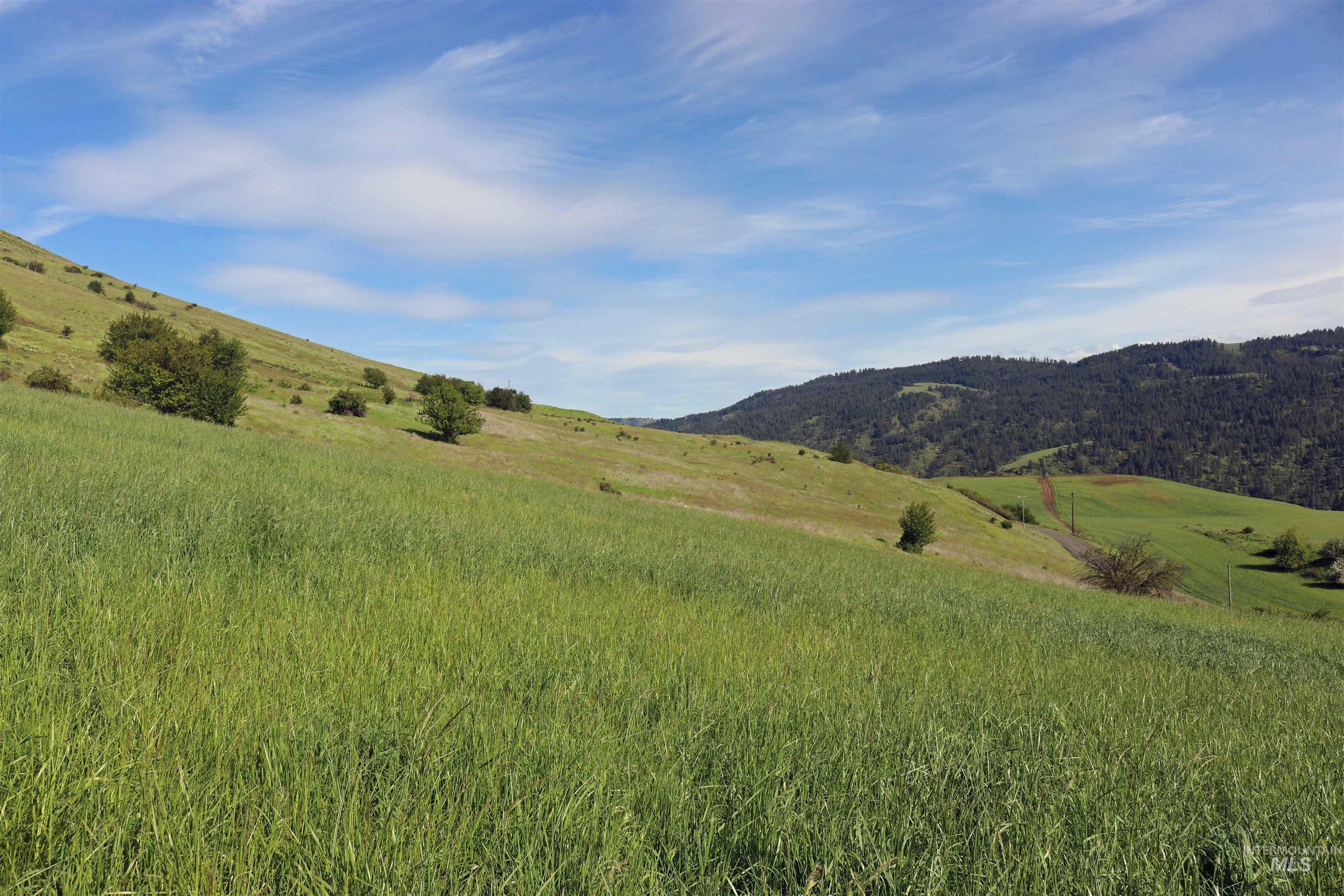 TBD Sunnyside Bench Road, Lenore, Idaho 83541, Land For Sale, Price $285,000, 98873024