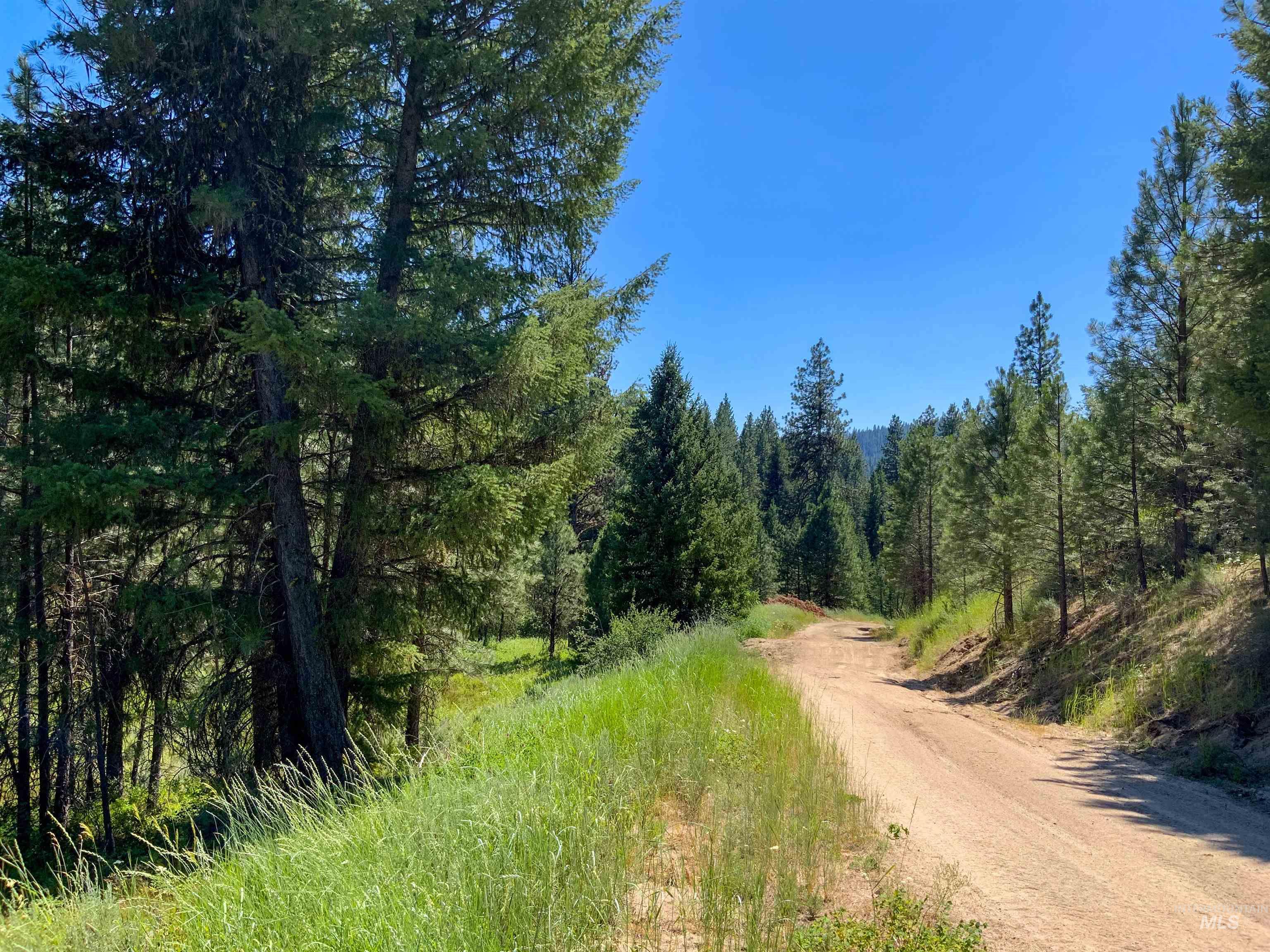 TBD Meadow Creek Drive, Idaho City, Idaho 83631, Farm & Ranch For Sale, Price $398,000,MLS 98873524