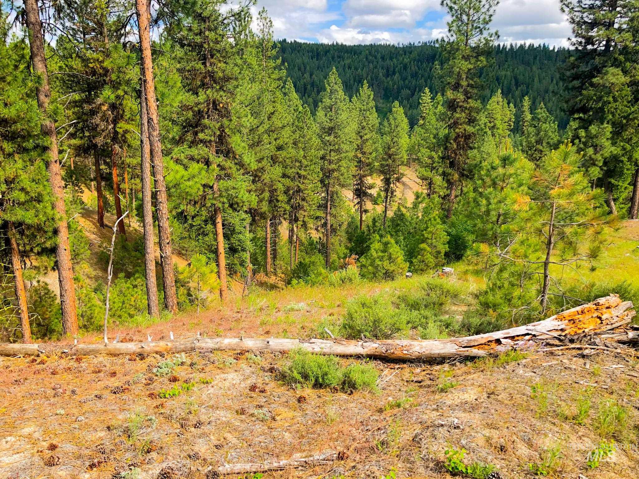 TBD Meadow Creek Drive, Idaho City, Idaho 83631, Farm & Ranch For Sale, Price $398,000,MLS 98873524