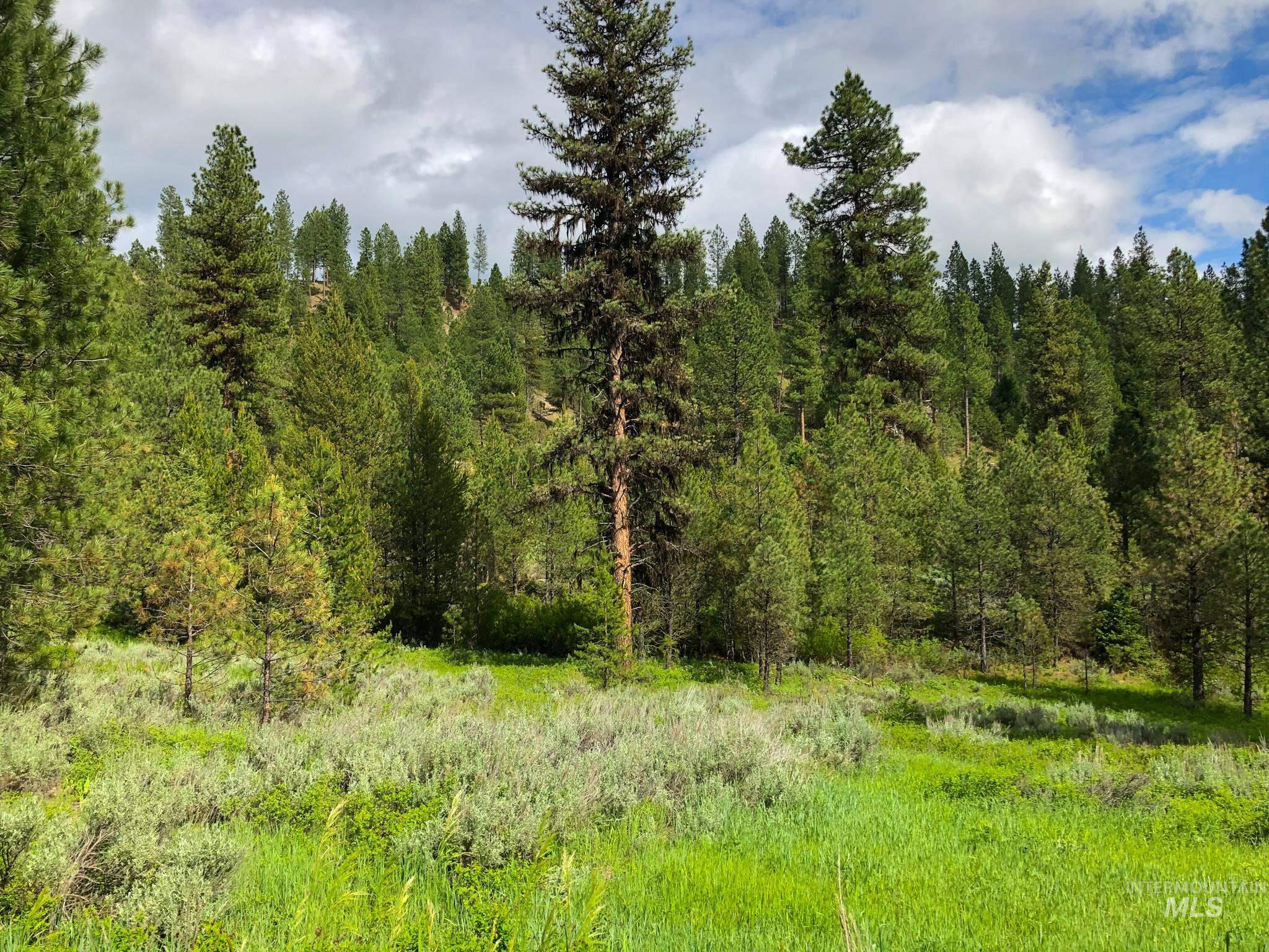 TBD Meadow Creek Drive, Idaho City, Idaho 83631, Farm & Ranch For Sale, Price $398,000,MLS 98873544