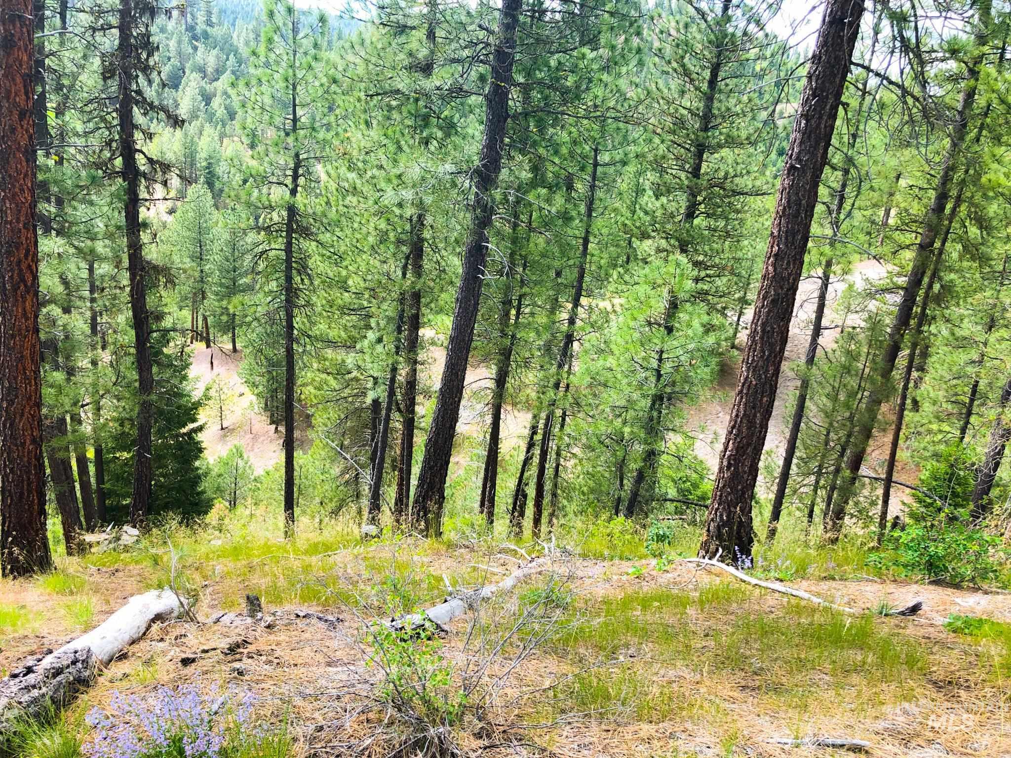 TBD Meadow Creek Drive, Idaho City, Idaho 83631, Farm & Ranch For Sale, Price $398,000,MLS 98873544