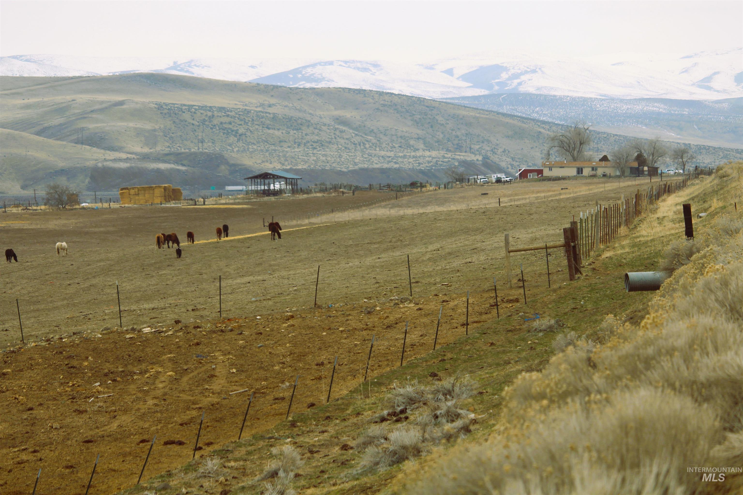 331 Olds Ferry Rd., Weiser, Idaho 83672, 4 Bedrooms, 2 Bathrooms, Residential For Sale, Price $1,400,000, 98873832