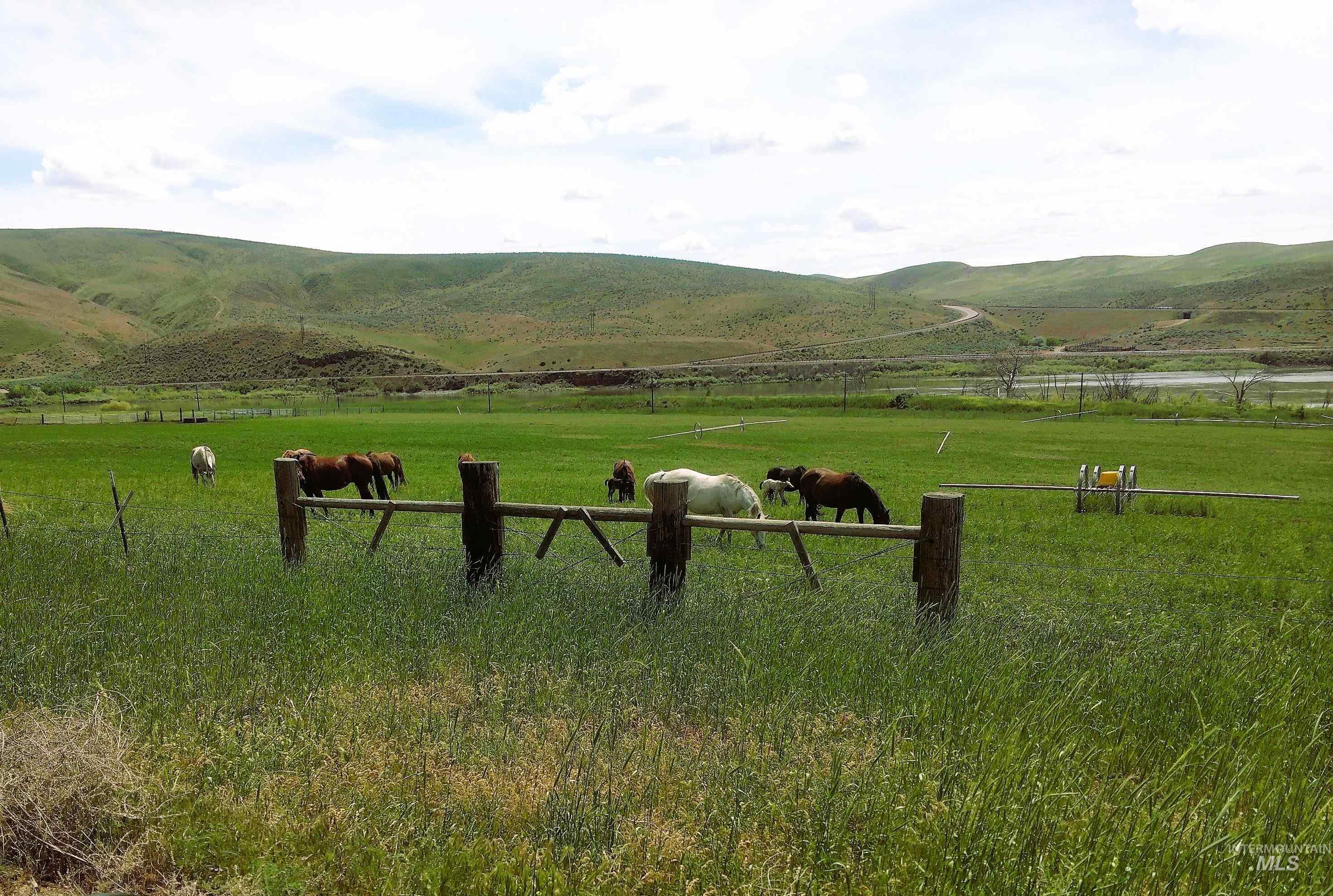 331 Olds Ferry Rd., Weiser, Idaho 83672, 4 Bedrooms, 2 Bathrooms, Residential For Sale, Price $1,400,000, 98873832
