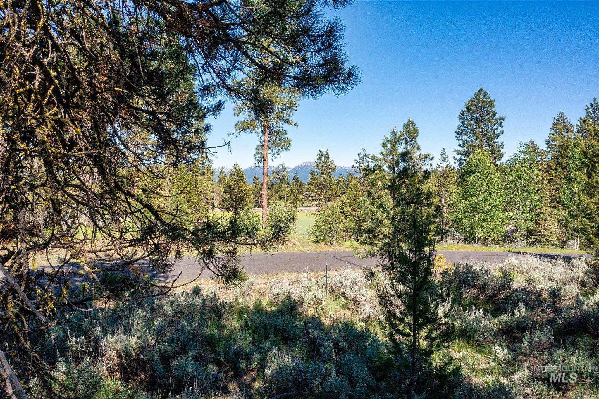 110 Fawnlilly, McCall, Idaho 83638, Land For Sale, Price $179,000, 98874489