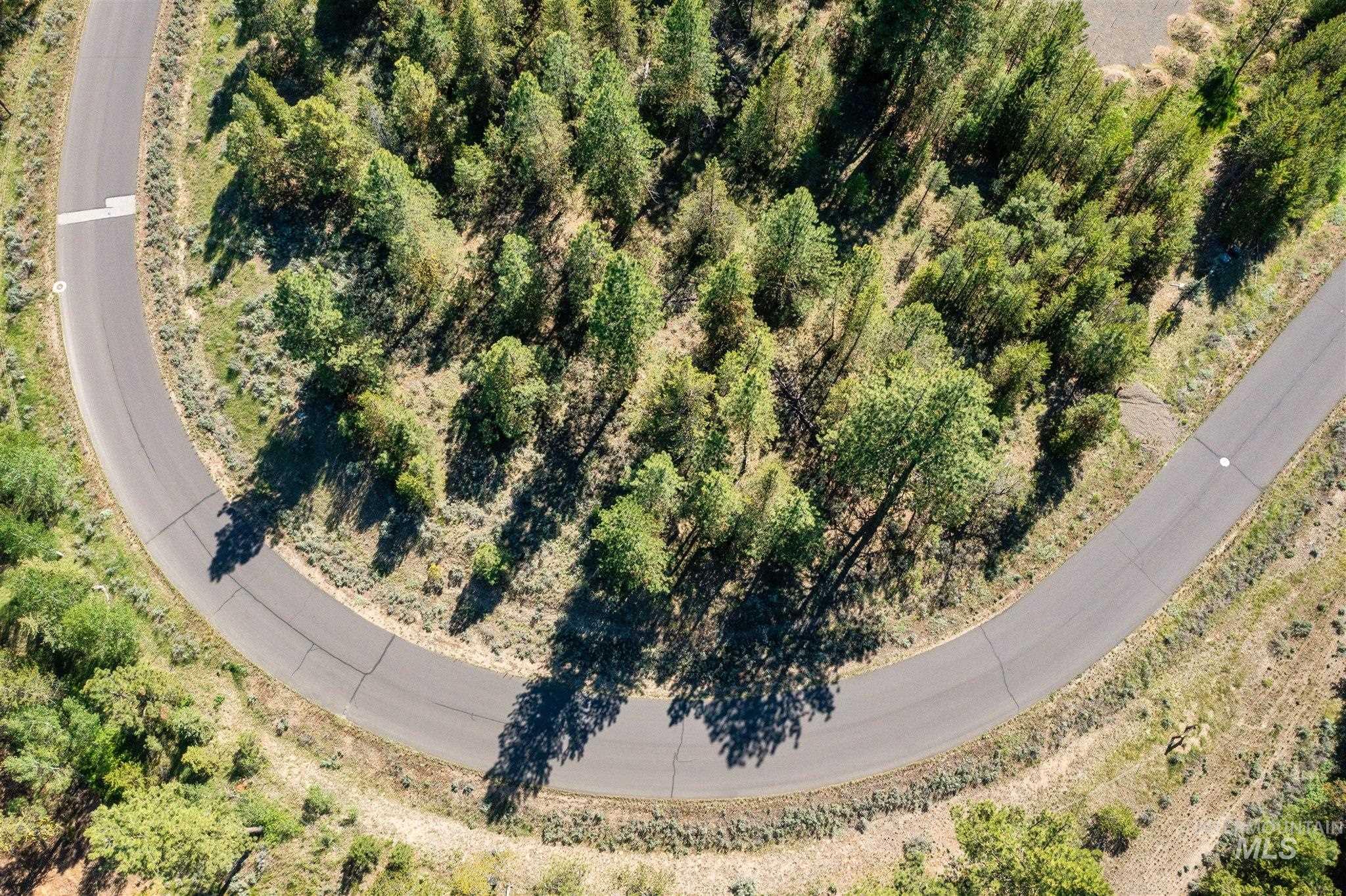 110 Fawnlilly, McCall, Idaho 83638, Land For Sale, Price $170,000, 98874489