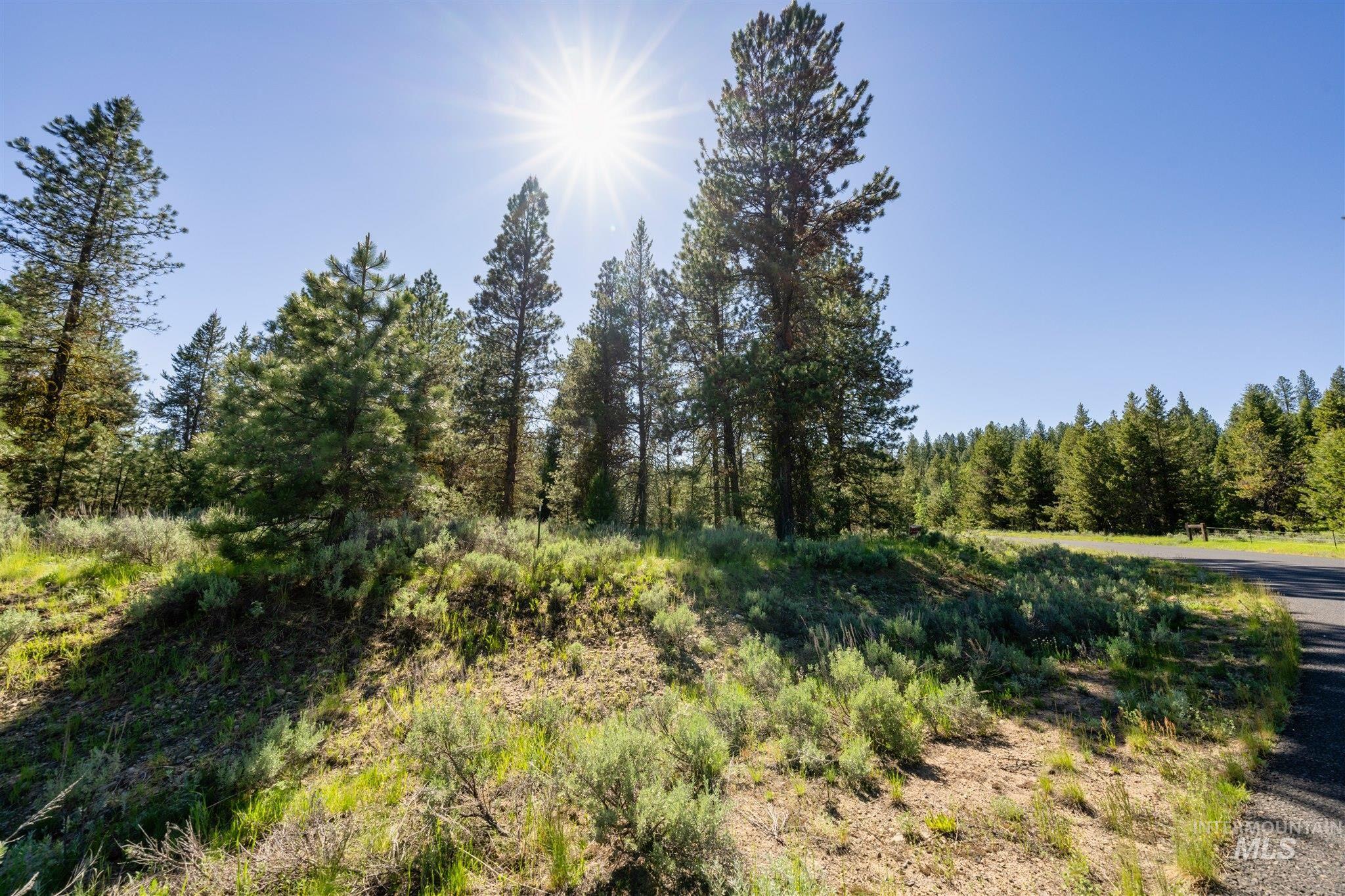110 Fawnlilly, McCall, Idaho 83638, Land For Sale, Price $179,000, 98874489