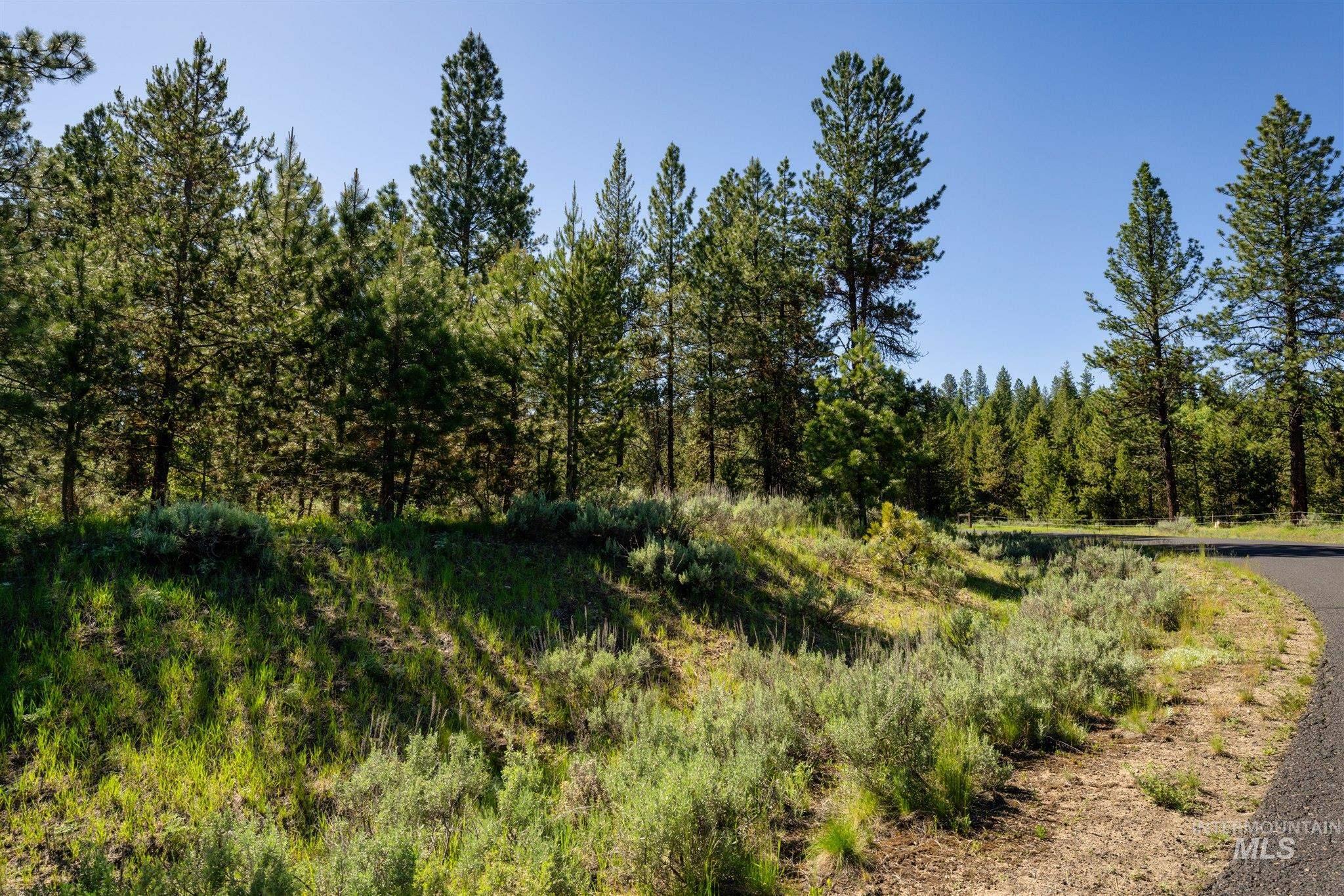 110 Fawnlilly, McCall, Idaho 83638, Land For Sale, Price $179,000, 98874489