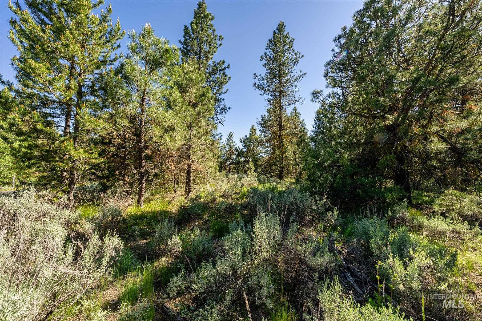 110 Fawnlilly, McCall, Idaho 83638, Land For Sale, Price $179,000, 98874489