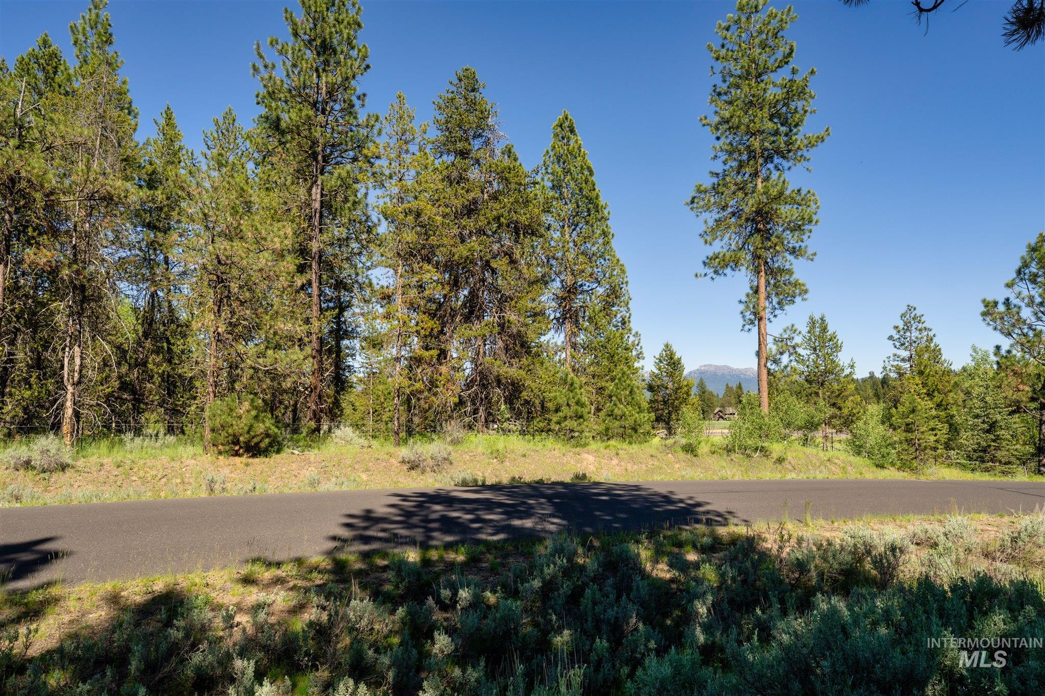 110 Fawnlilly, McCall, Idaho 83638, Land For Sale, Price $179,000, 98874489
