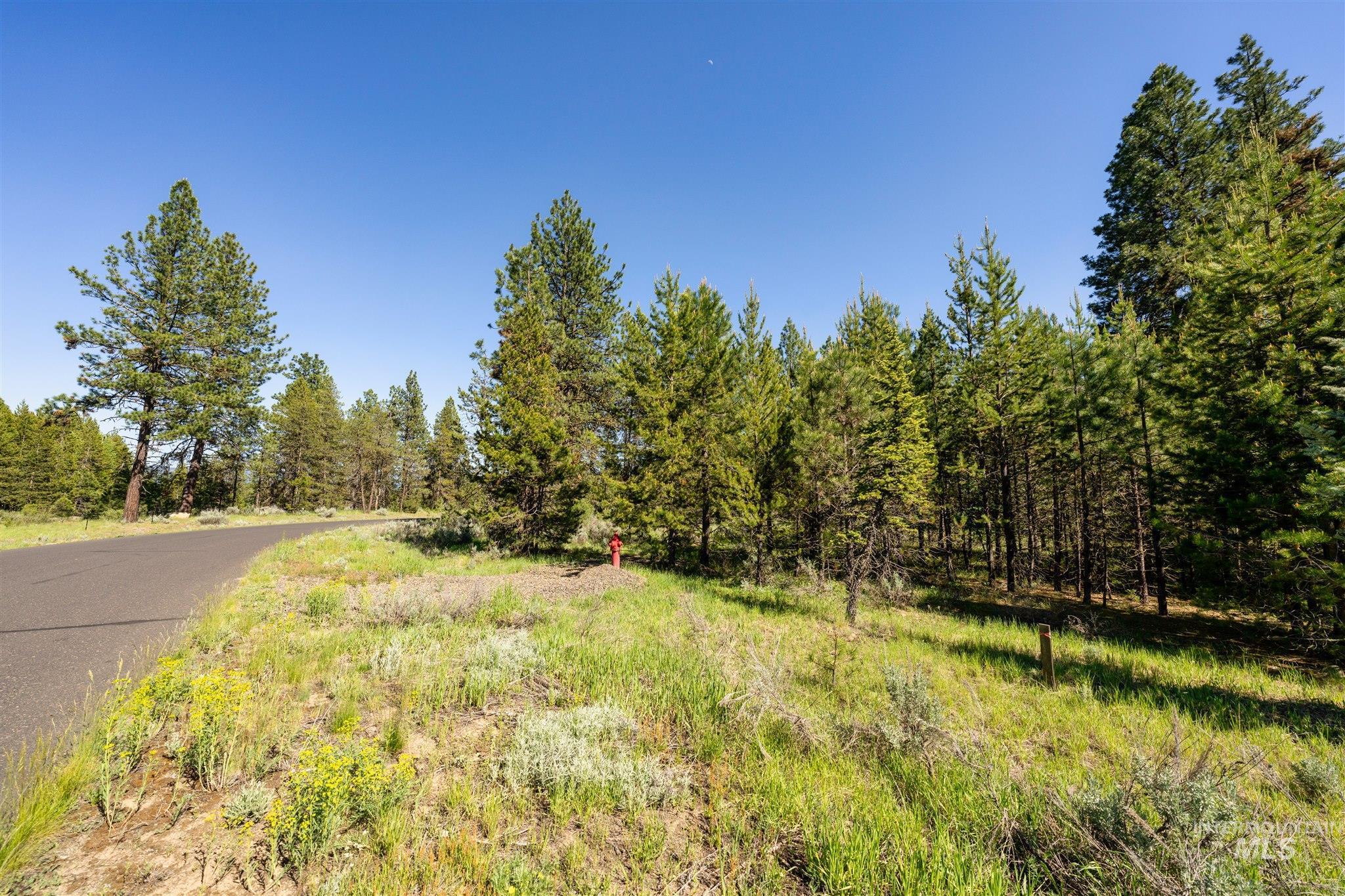 110 Fawnlilly, McCall, Idaho 83638, Land For Sale, Price $179,000, 98874489