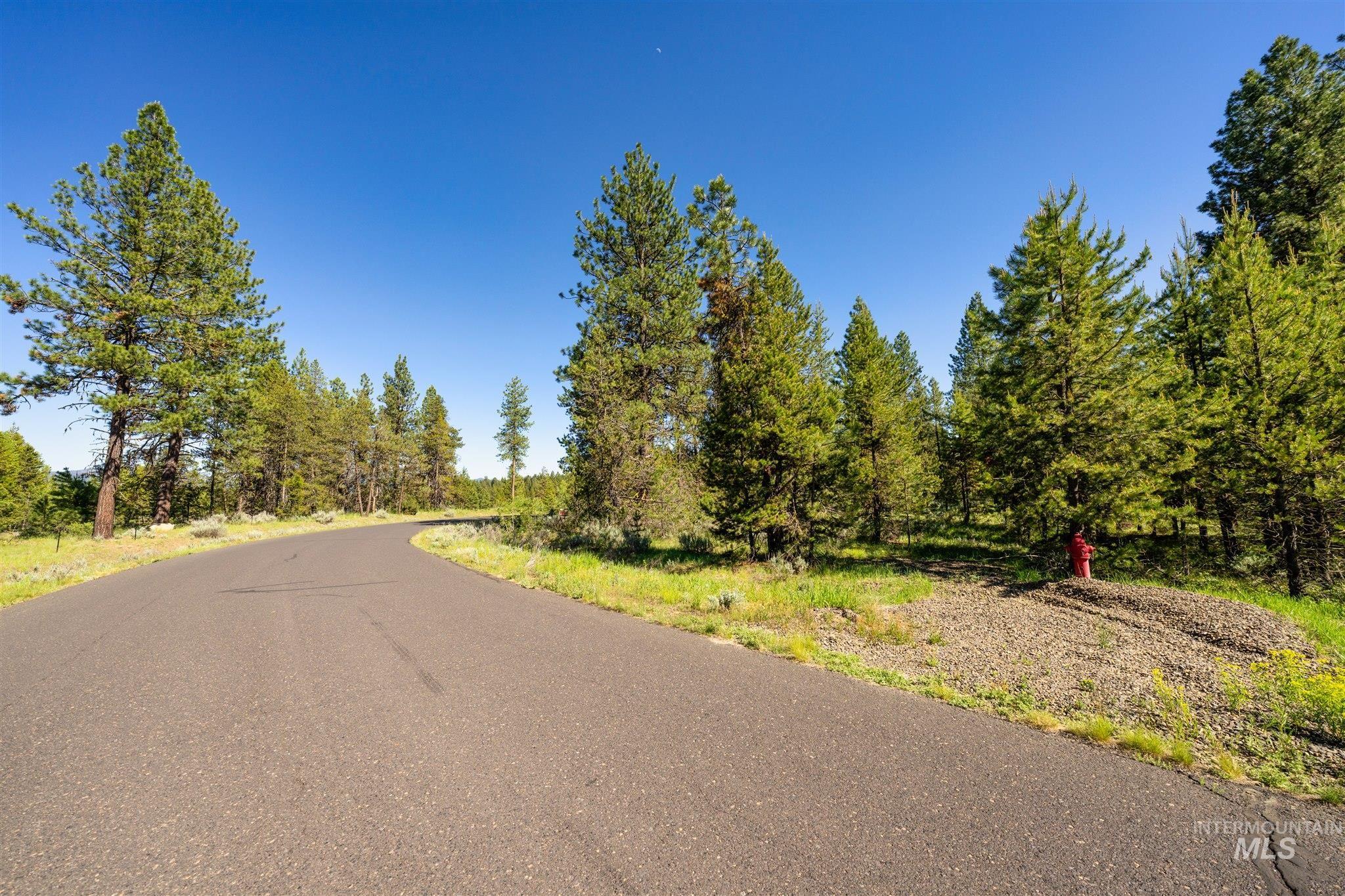 110 Fawnlilly, McCall, Idaho 83638, Land For Sale, Price $179,000, 98874489