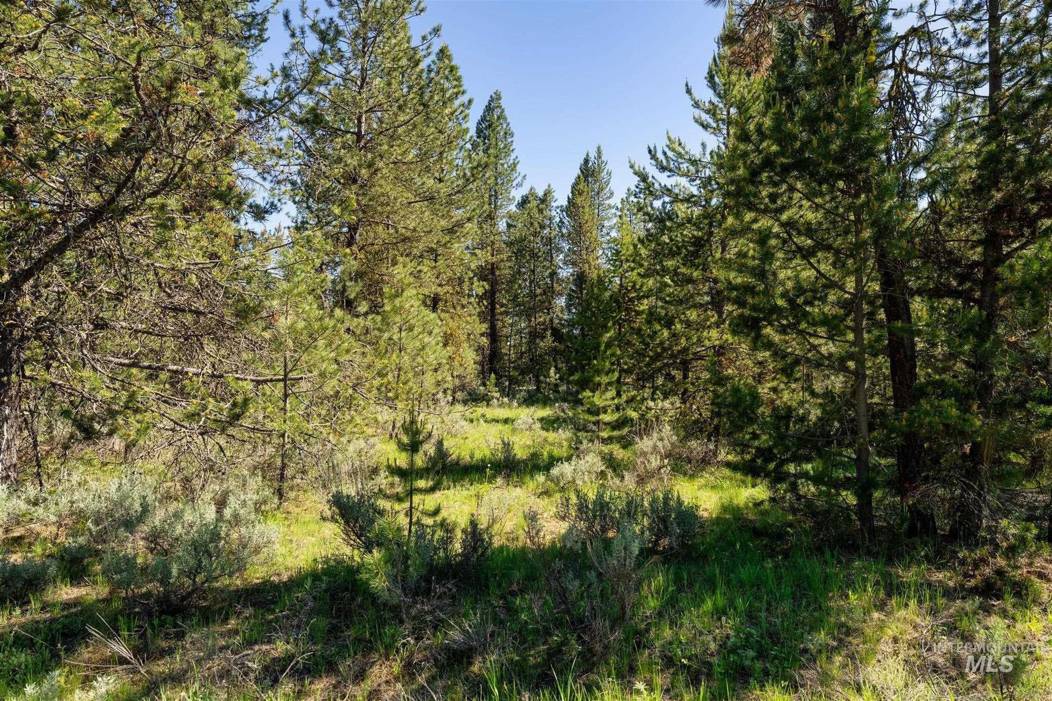110 Fawnlilly, McCall, Idaho 83638, Land For Sale, Price $170,000, 98874489