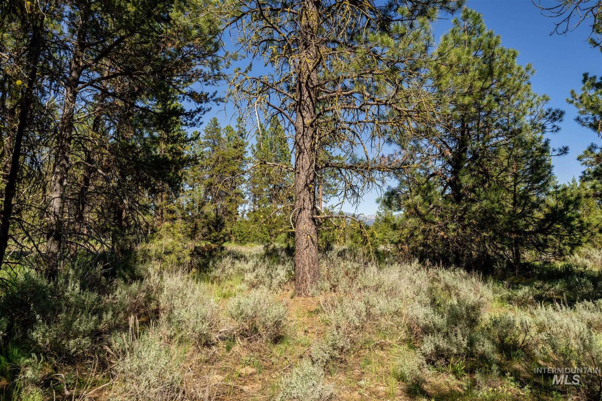 110 Fawnlilly, McCall, Idaho 83638, Land For Sale, Price $179,000, 98874489