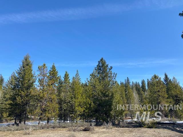 110 Fawnlilly, McCall, Idaho 83638, Land For Sale, Price $185,000,MLS 98874489