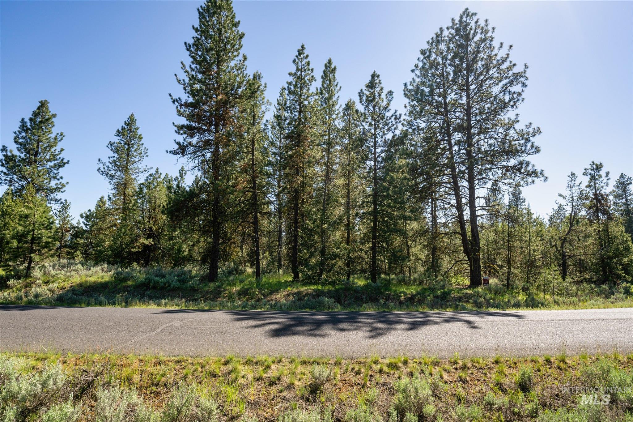 110 Fawnlilly, McCall, Idaho 83638, Land For Sale, Price $179,000, 98874489