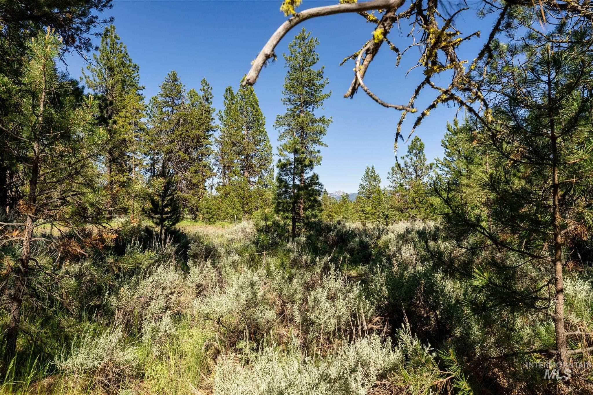 110 Fawnlilly, McCall, Idaho 83638, Land For Sale, Price $179,000, 98874489