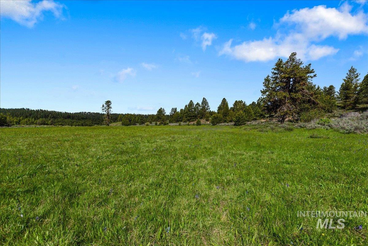 TBD Pointes Road, Cascade, Idaho 83611, Land For Sale, Price $999,900,MLS 98874648