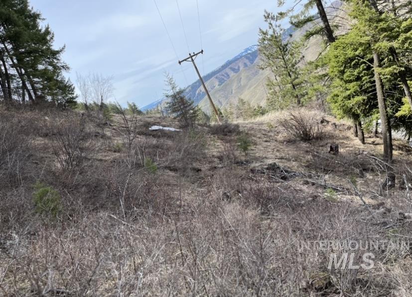 NNA SR 129, Anatone, Washington 99401, Land For Sale, Price $57,900,MLS 98874668