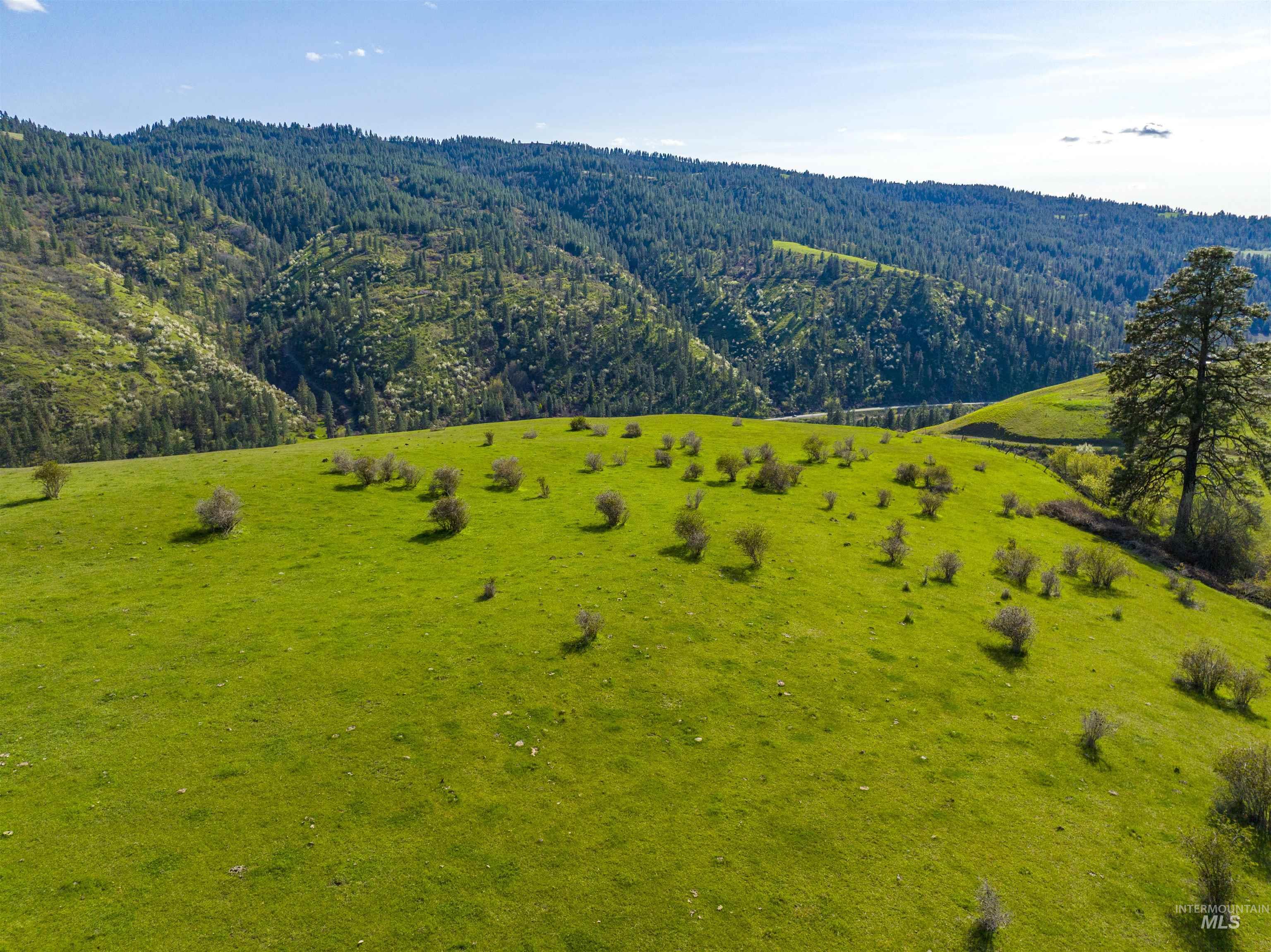 NKA 90.25ac Sunnyside Bench, Lenore, Idaho 83541, Land For Sale, Price $799,000, 98875205