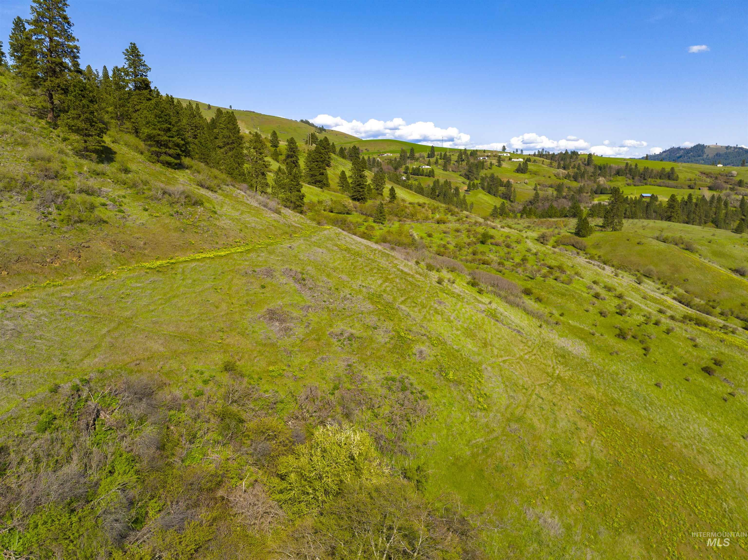NKA 90.25ac Sunnyside Bench, Lenore, Idaho 83541, Land For Sale, Price $799,000, 98875205