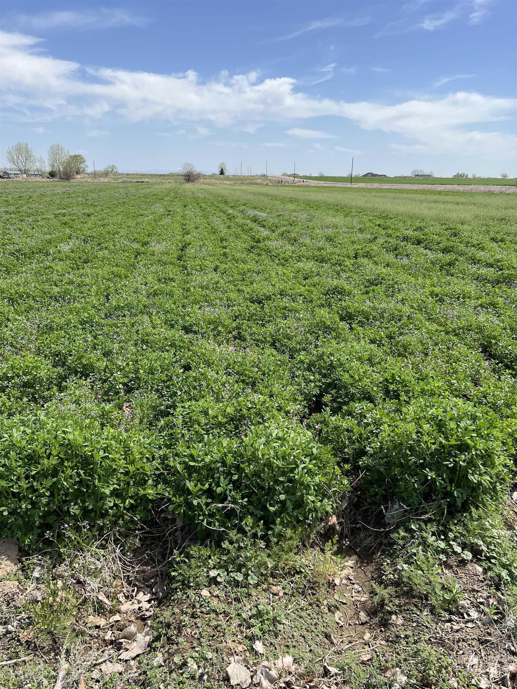 TBD Pet Ln, Parma, Idaho 83660, Land For Sale, Price $450,000, 98875873