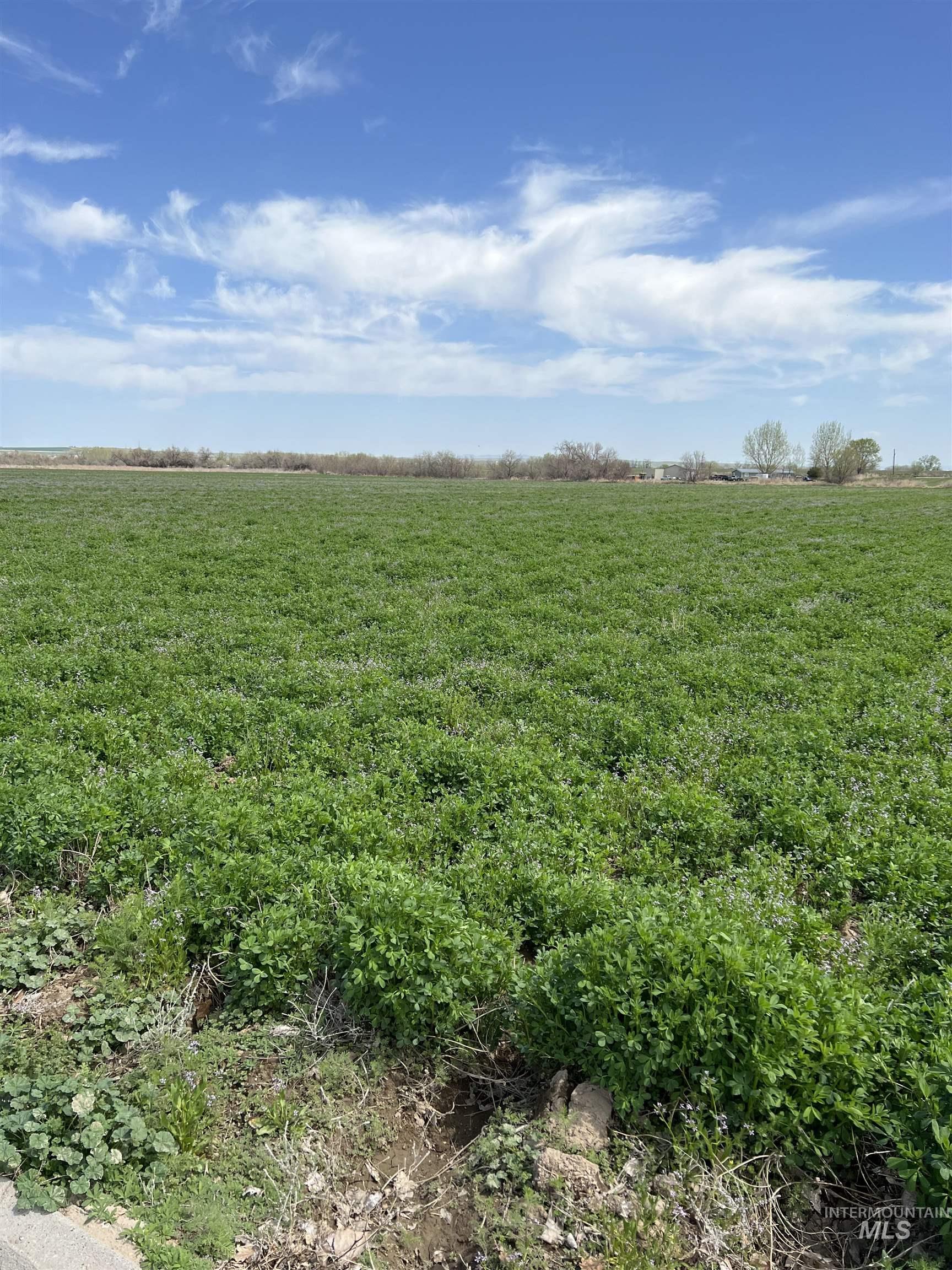 TBD Pet Ln, Parma, Idaho 83660, Land For Sale, Price $450,000, 98875873
