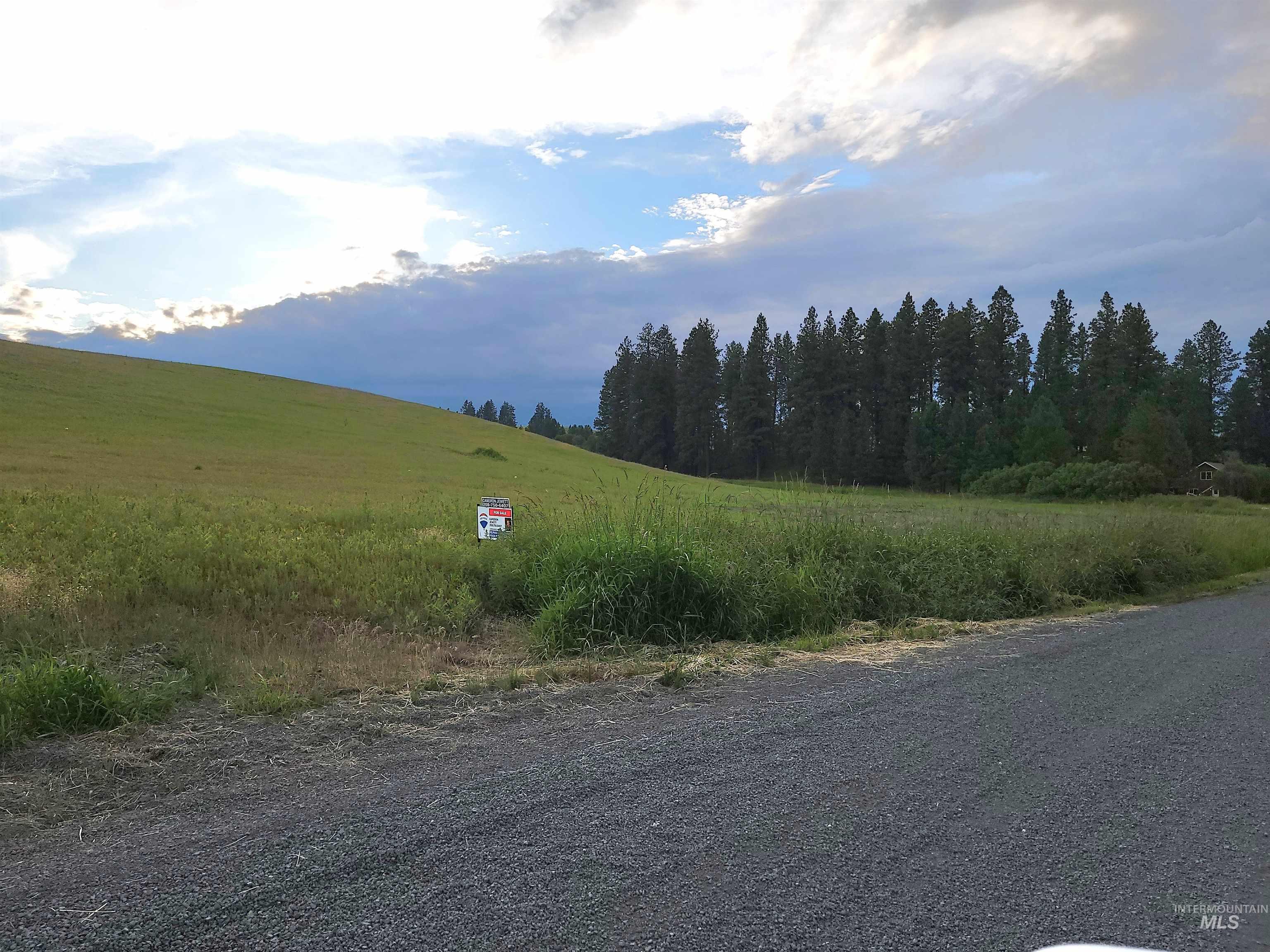 9.98 ACRES Teare Road, Moscow, Idaho 83843, Land For Sale, Price $259,885,MLS 98875978