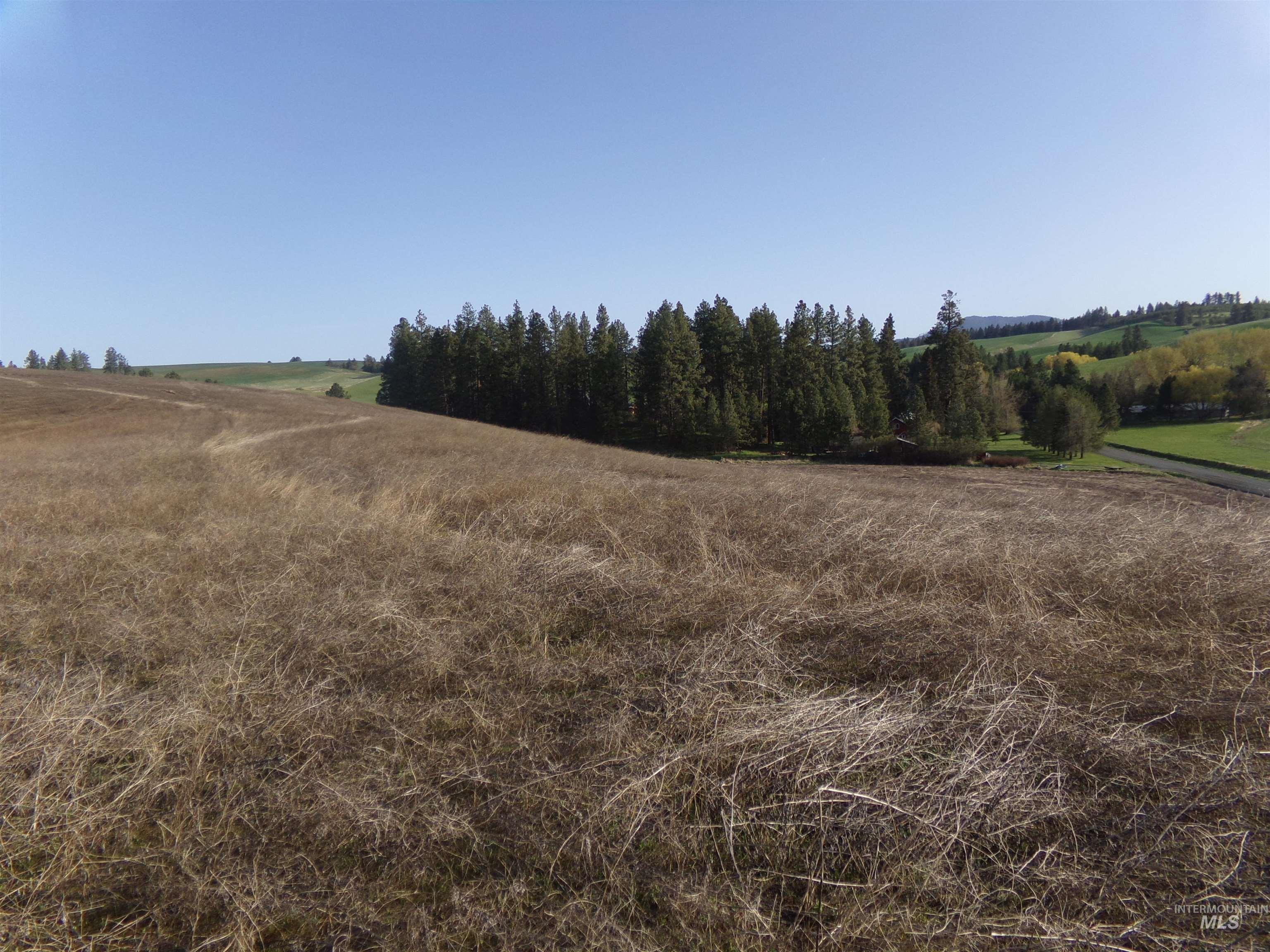 9.98 ACRES Teare Road, Moscow, Idaho 83843, Land For Sale, Price $259,885,MLS 98875978