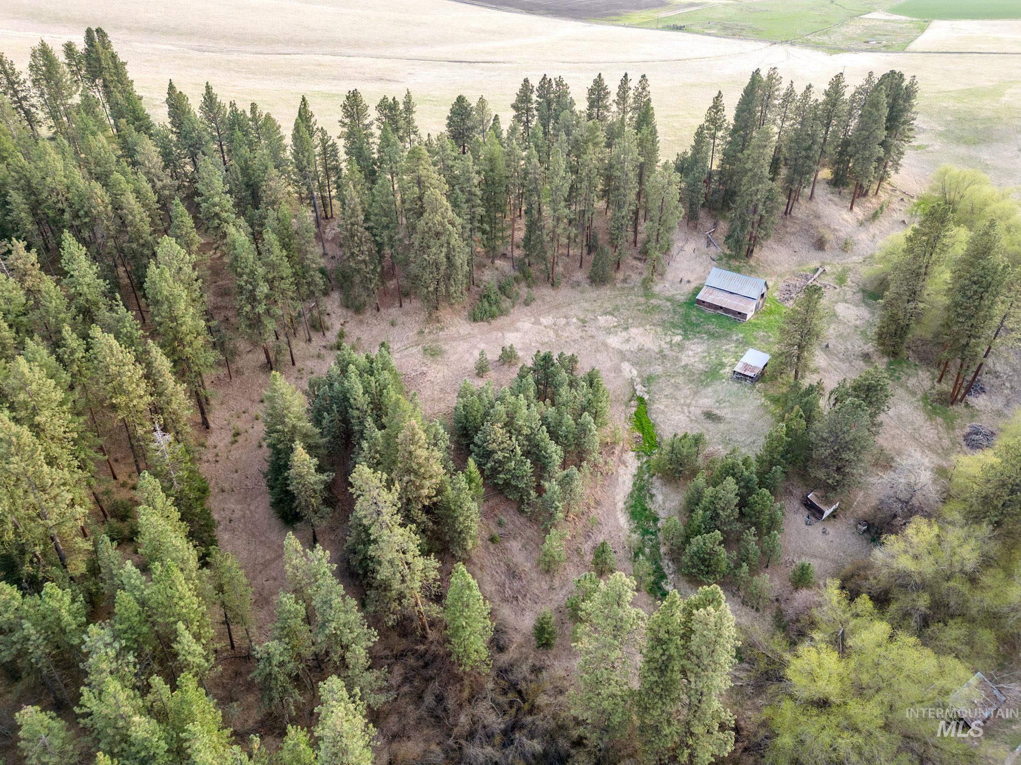 TBD Reservation Line Rd, CottonWood, Idaho 83522, Farm & Ranch For Sale, Price $1,247,876, 98876583