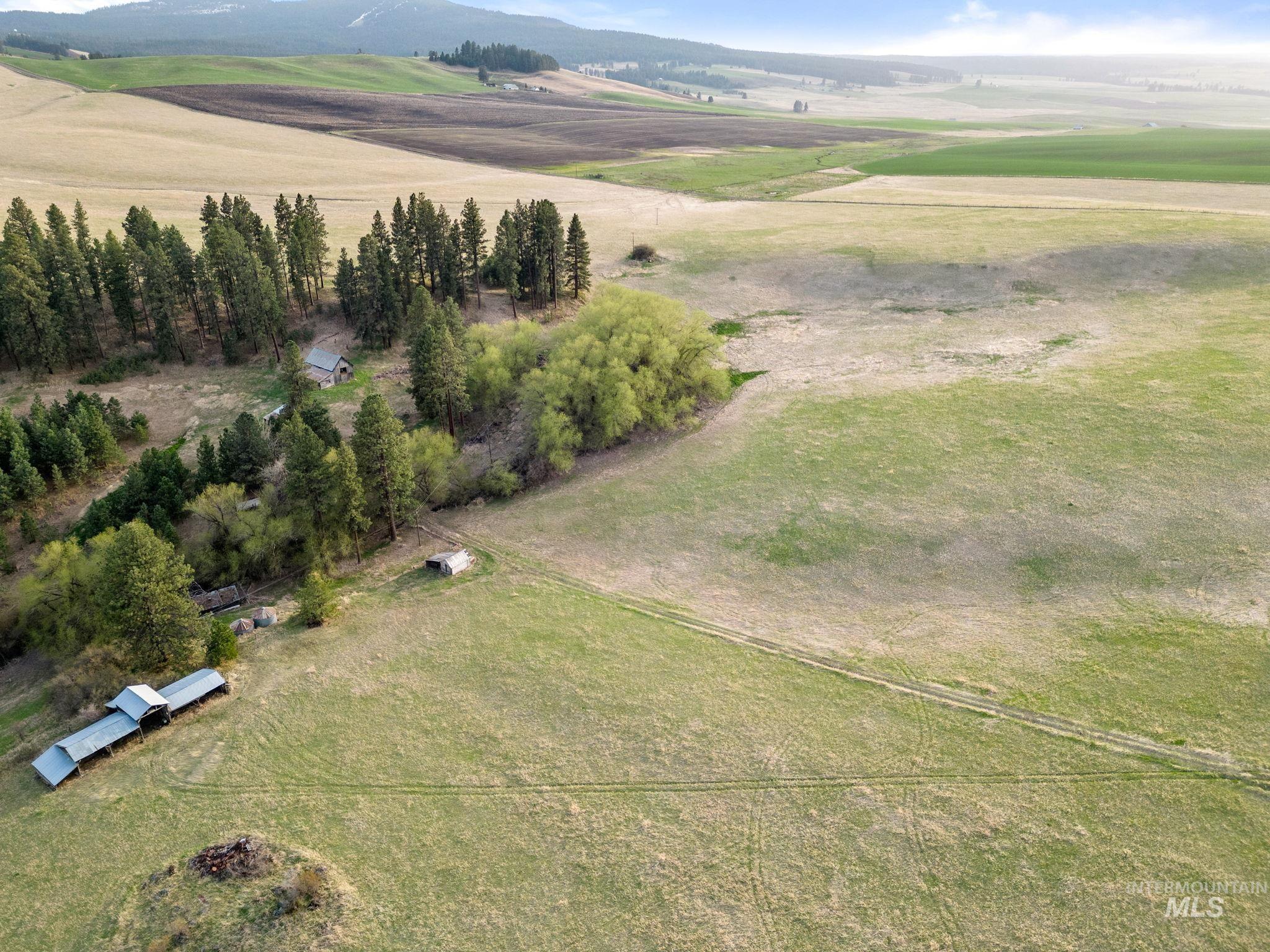 TBD Reservation Line Rd, CottonWood, Idaho 83522, Farm & Ranch For Sale, Price $1,247,876, 98876583