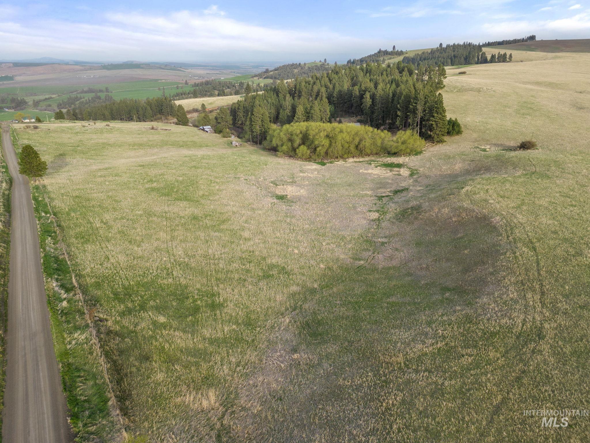 TBD Reservation Line Rd, CottonWood, Idaho 83522, Farm & Ranch For Sale, Price $1,247,876, 98876583