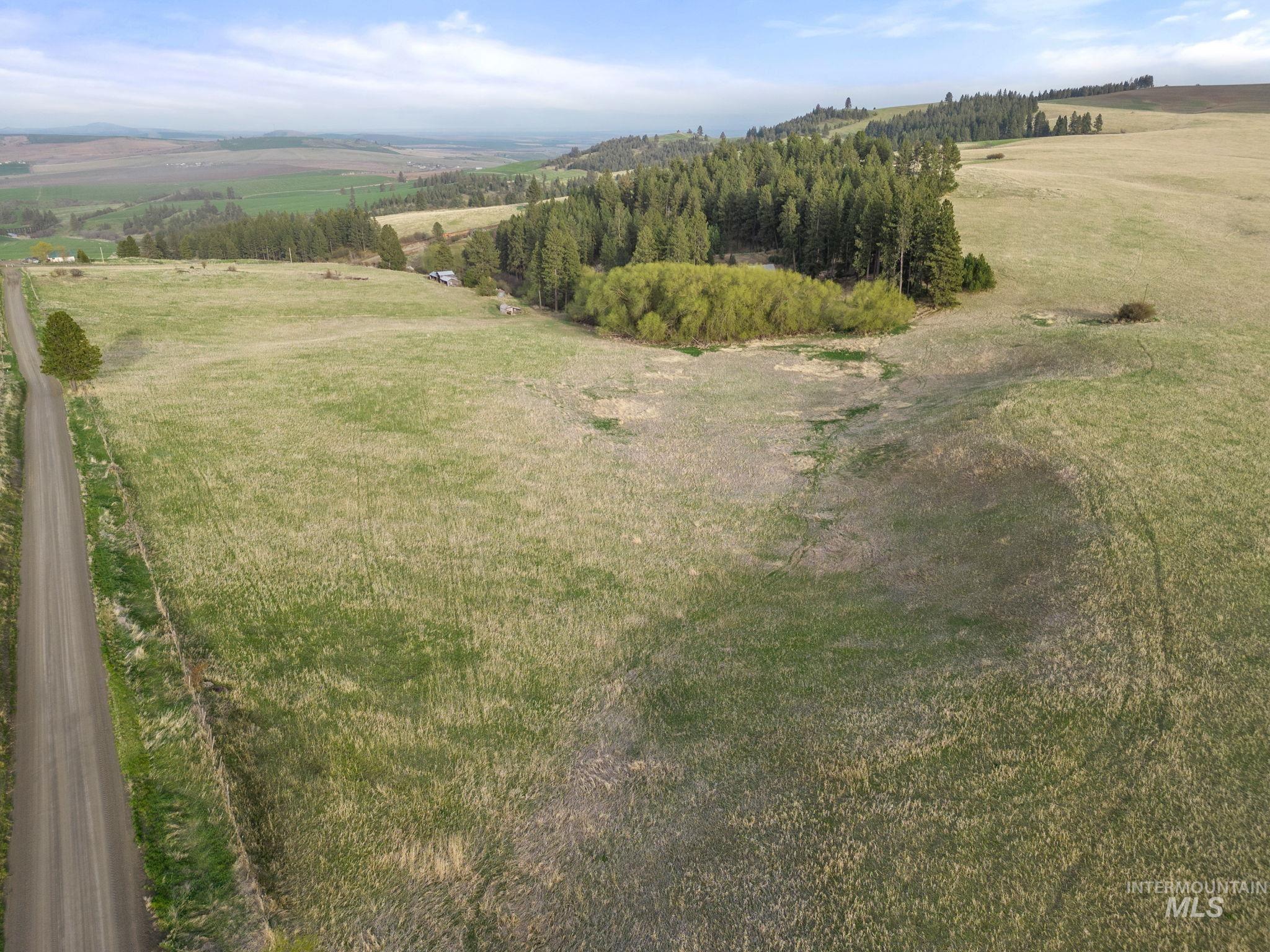 TBD Reservation Line Rd, CottonWood, Idaho 83522, Farm & Ranch For Sale, Price $1,247,876,MLS 98876583