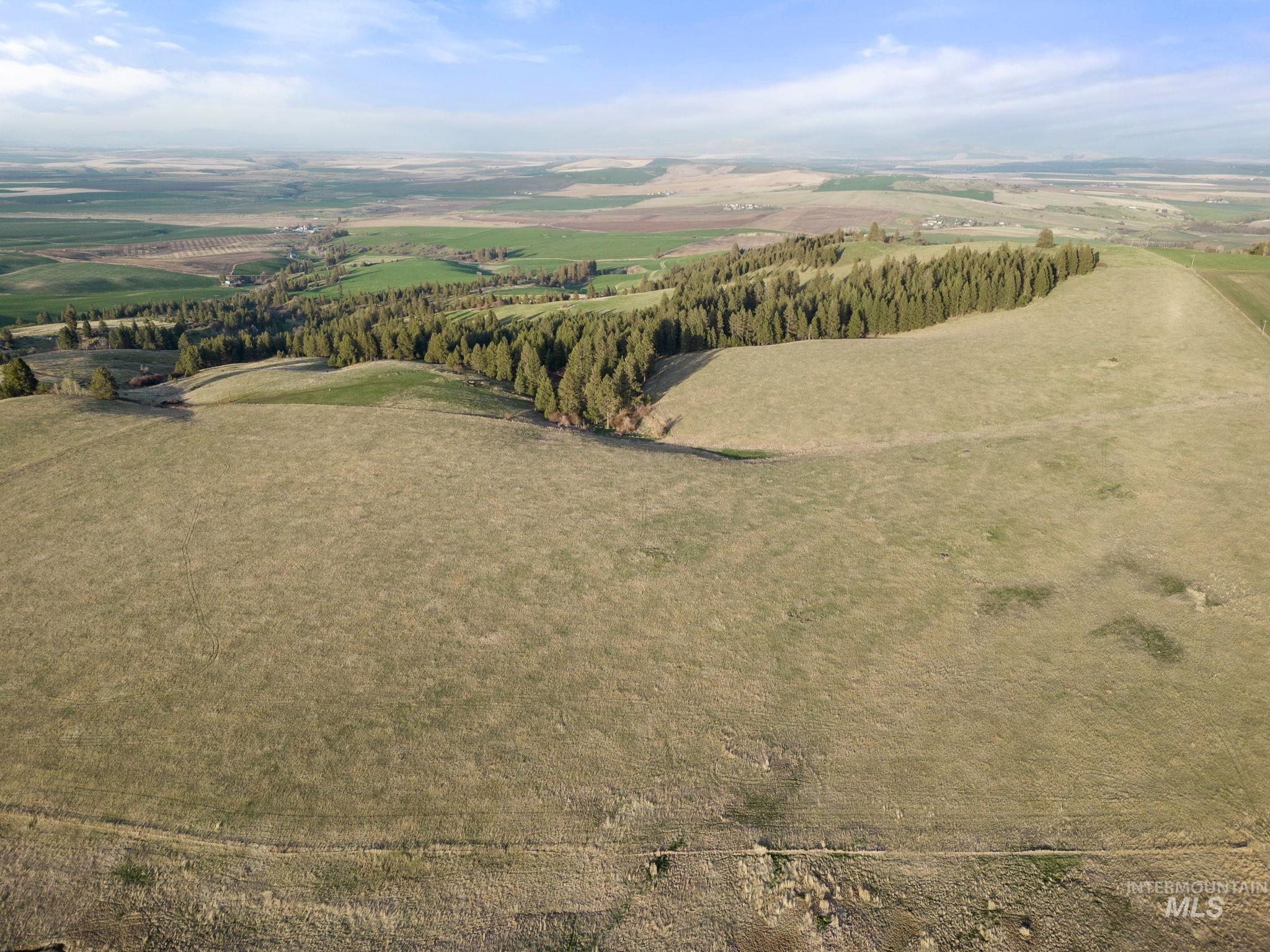 TBD Reservation Line Rd, CottonWood, Idaho 83522, Farm & Ranch For Sale, Price $1,247,876, 98876583