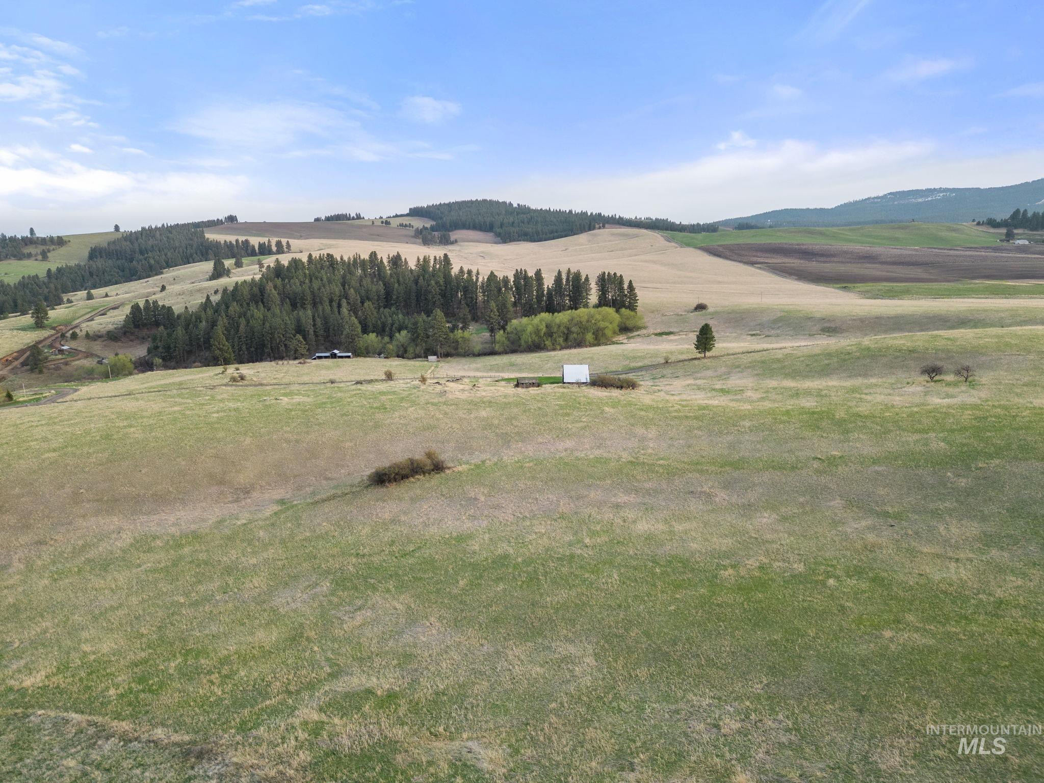 TBD Reservation Line Rd, CottonWood, Idaho 83522, Farm & Ranch For Sale, Price $1,247,876, 98876583