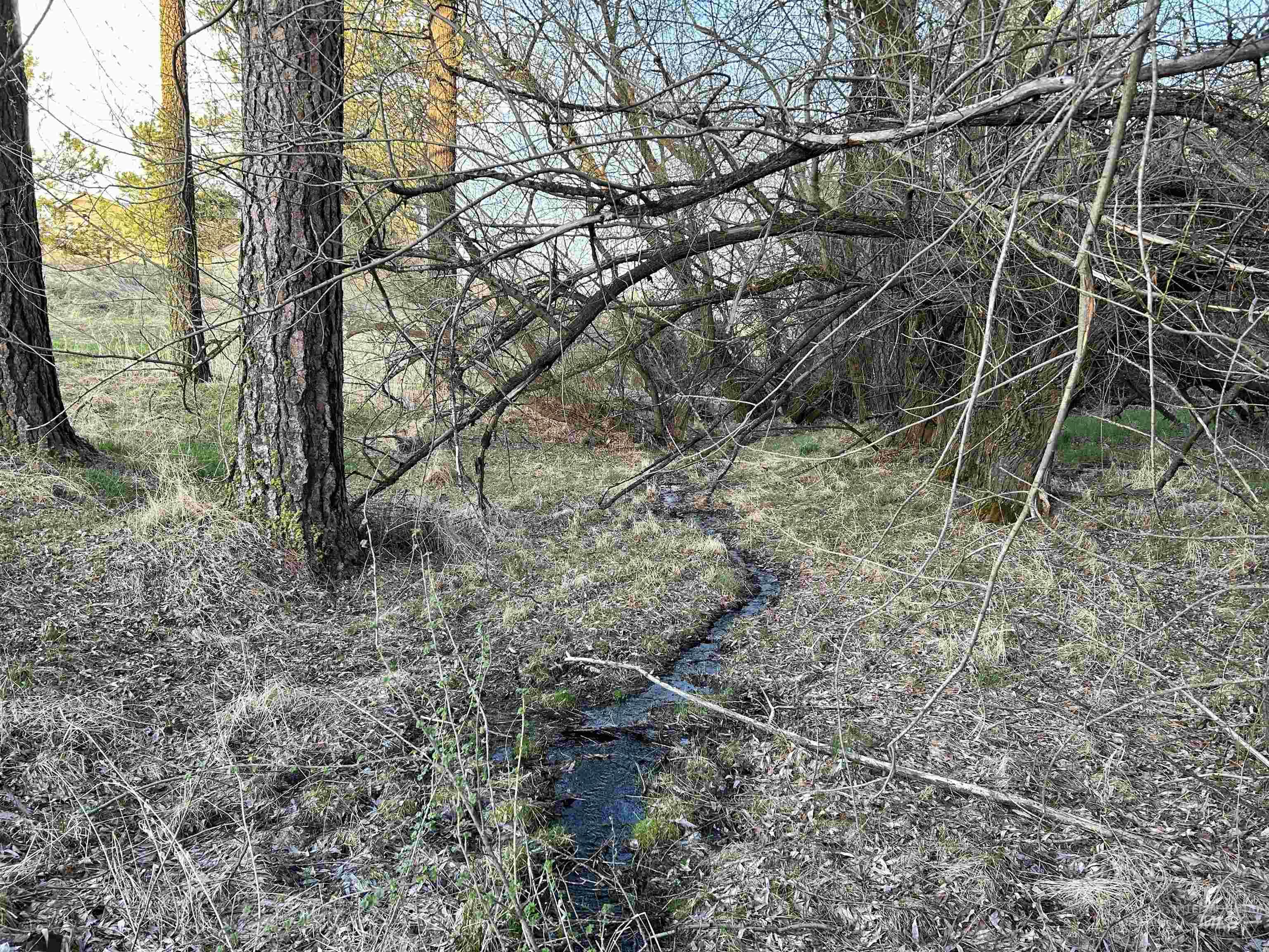 TBD Reservation Line Rd, CottonWood, Idaho 83522, Farm & Ranch For Sale, Price $1,247,876, 98876583