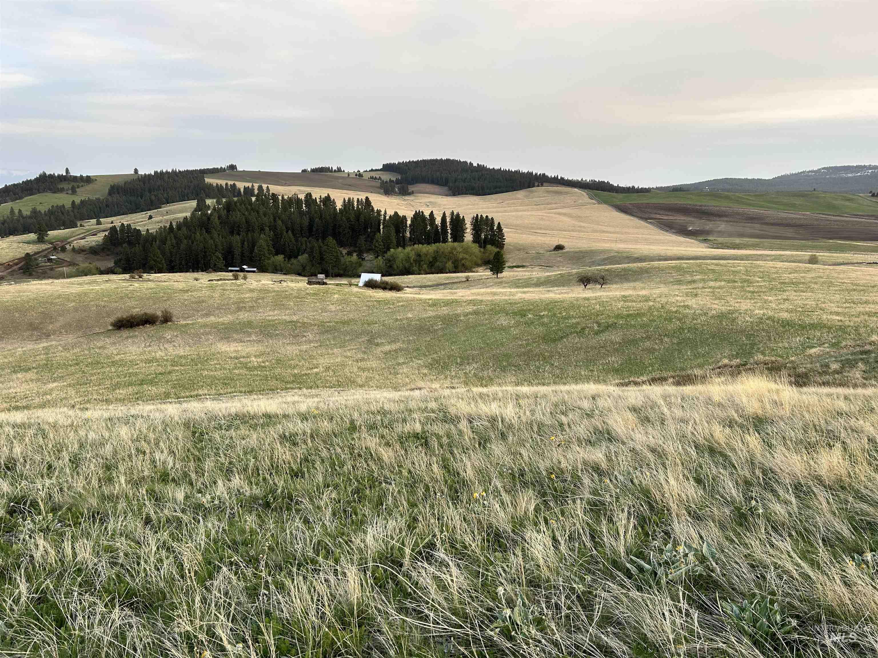 TBD Reservation Line Rd, CottonWood, Idaho 83522, Farm & Ranch For Sale, Price $1,247,876, 98876583