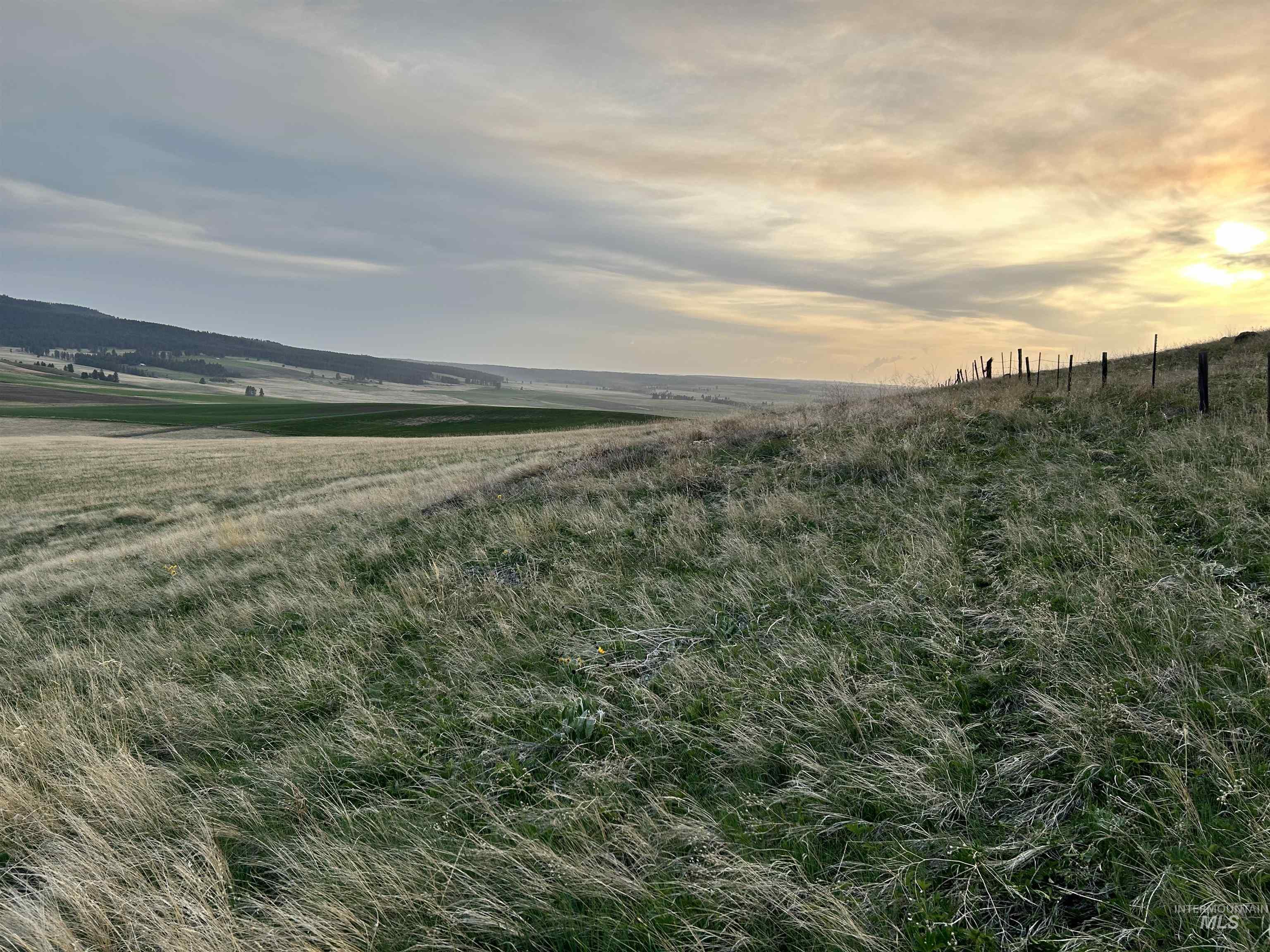 TBD Reservation Line Rd, CottonWood, Idaho 83522, Farm & Ranch For Sale, Price $1,247,876, 98876583