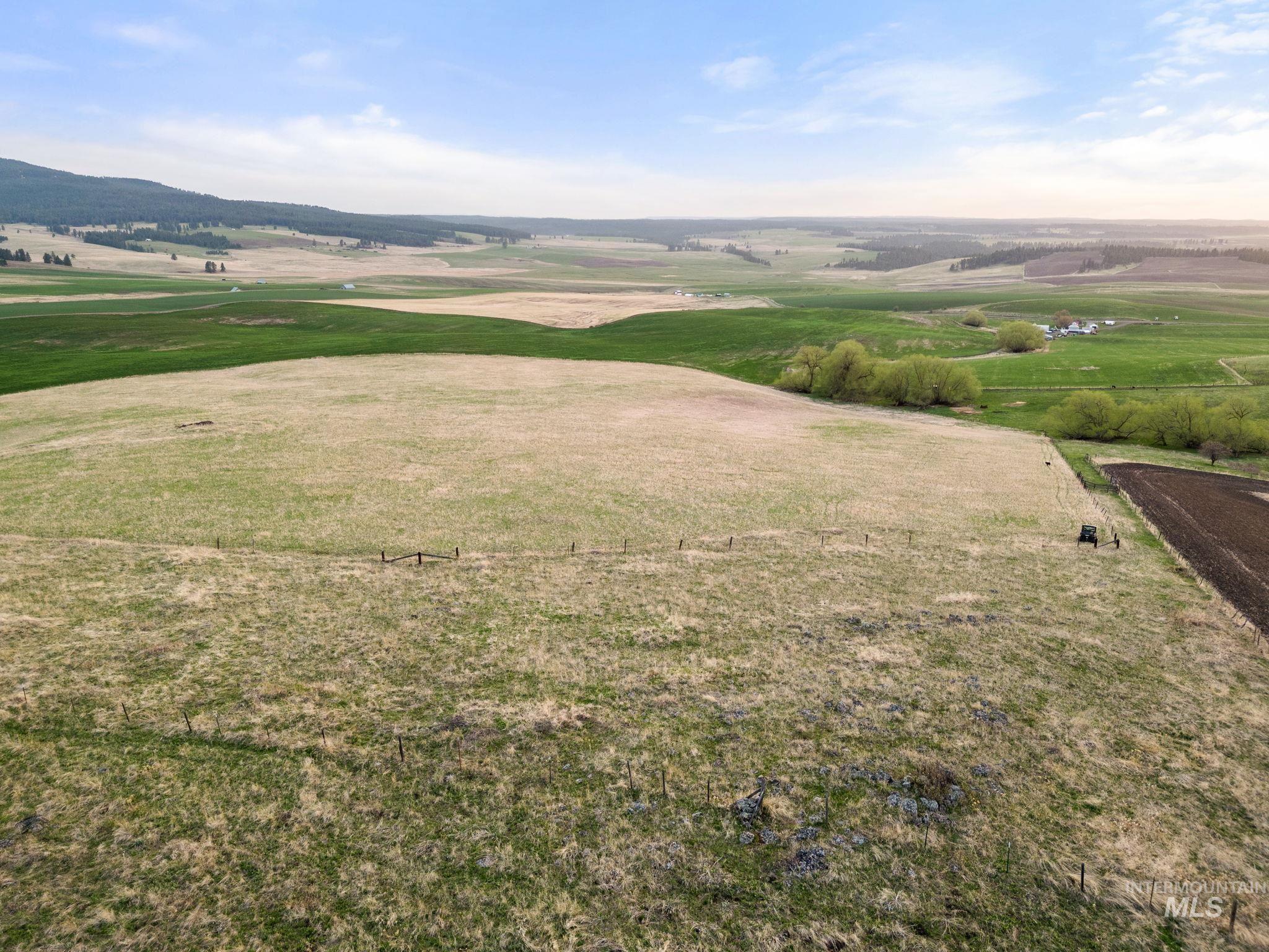 TBD Reservation Line Rd, CottonWood, Idaho 83522, Farm & Ranch For Sale, Price $1,247,876,MLS 98876583