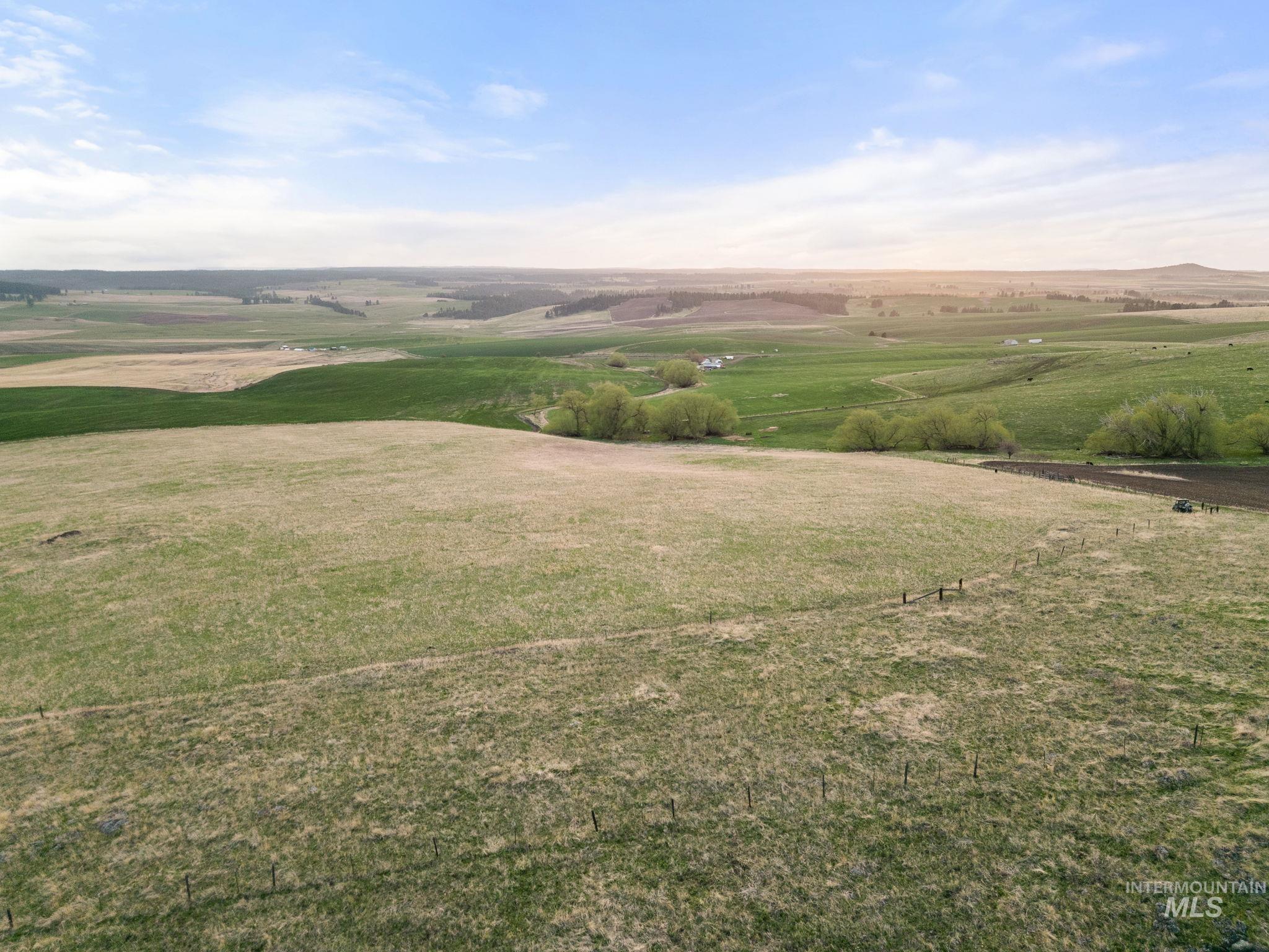 TBD Reservation Line Rd, CottonWood, Idaho 83522, Farm & Ranch For Sale, Price $1,247,876, 98876583