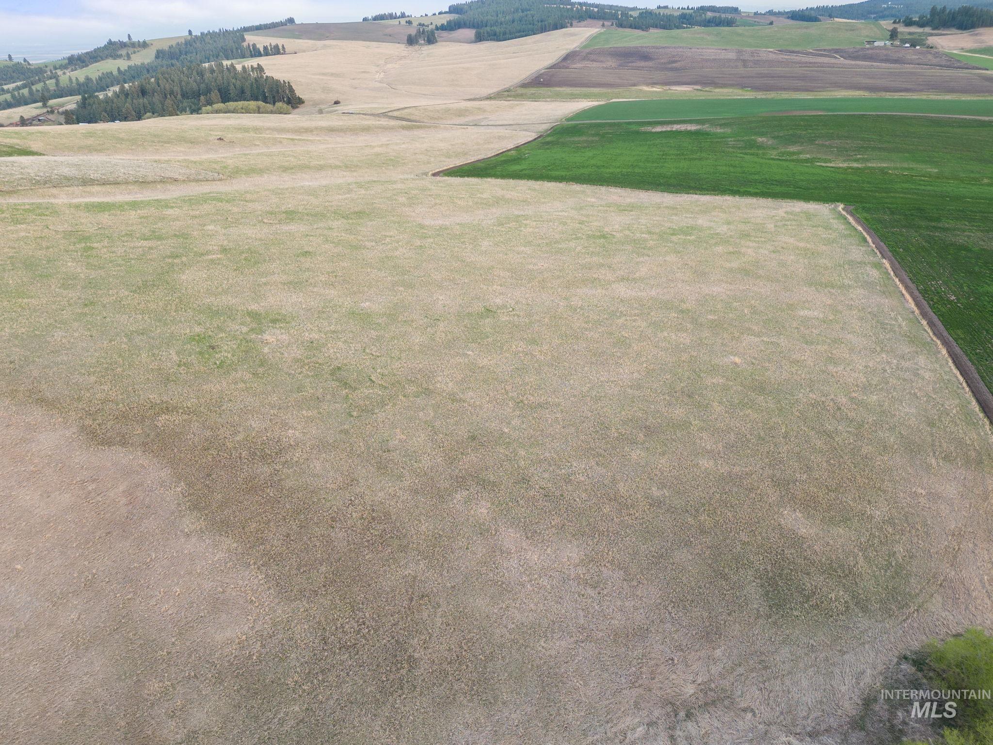 TBD Reservation Line Rd, CottonWood, Idaho 83522, Farm & Ranch For Sale, Price $1,247,876, 98876583