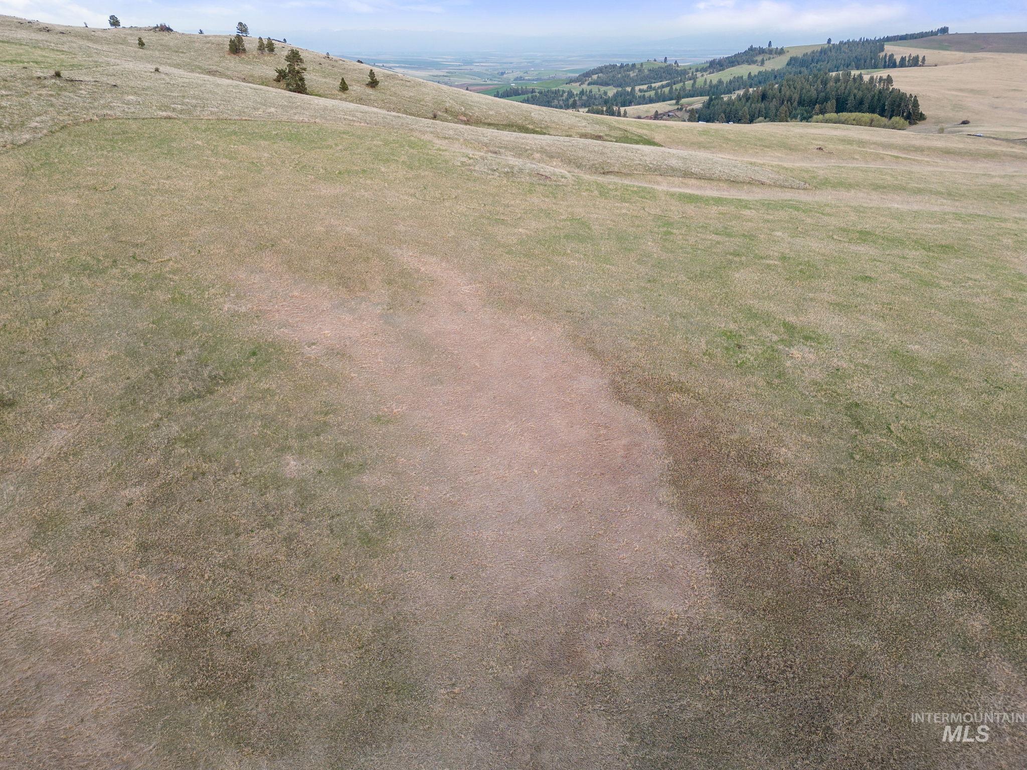 TBD Reservation Line Rd, CottonWood, Idaho 83522, Farm & Ranch For Sale, Price $1,247,876, 98876583
