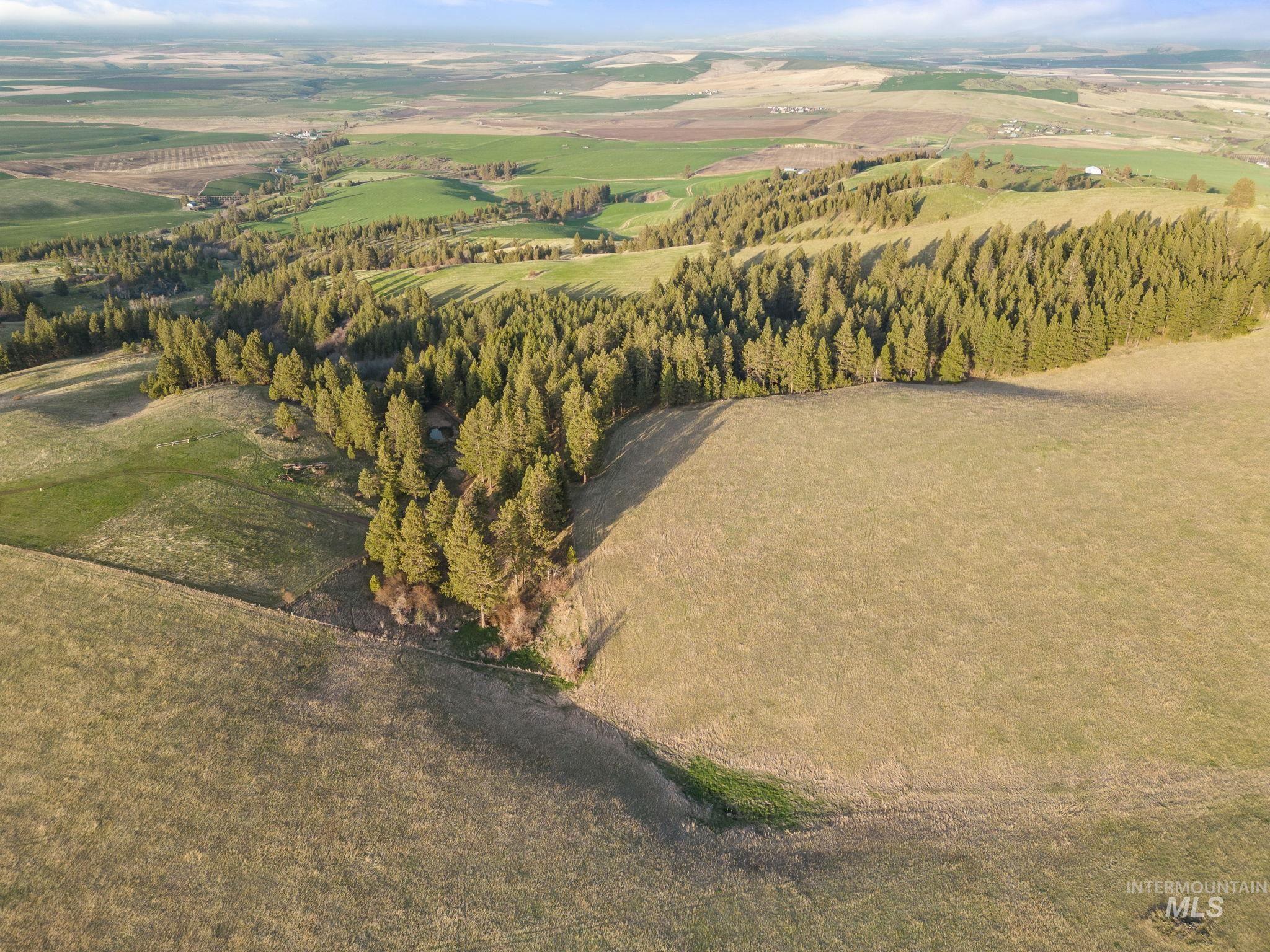 TBD Reservation Line Rd, CottonWood, Idaho 83522, Farm & Ranch For Sale, Price $1,247,876, 98876583