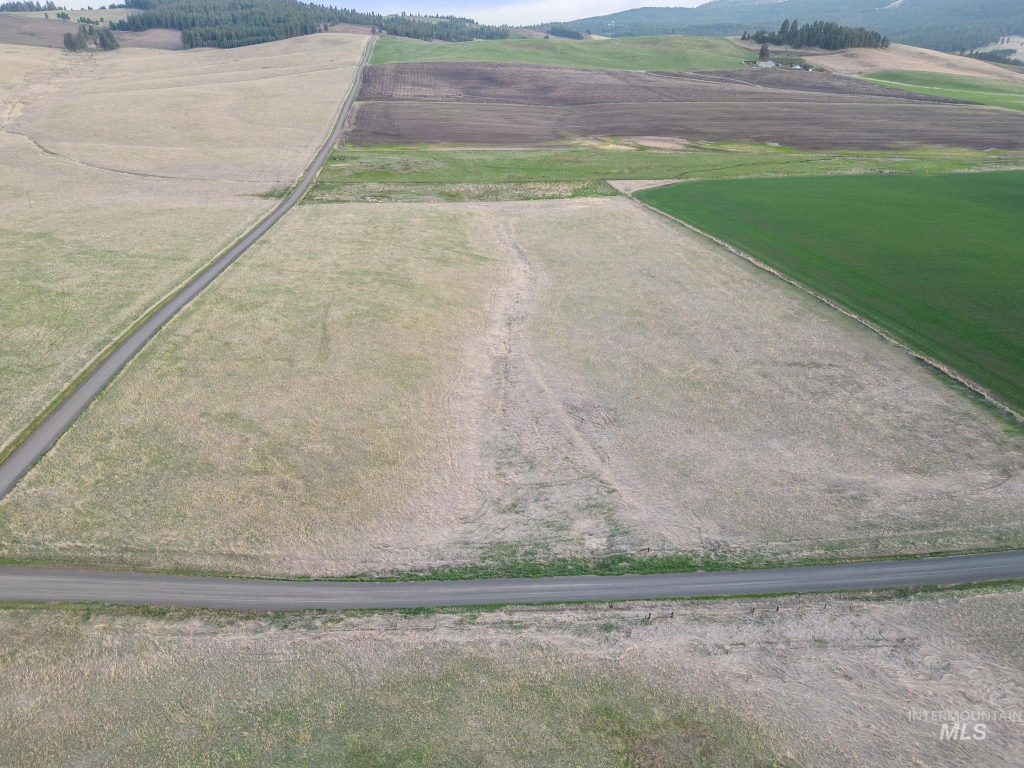 TBD Reservation Line Rd, CottonWood, Idaho 83522, Farm & Ranch For Sale, Price $1,247,876, 98876583