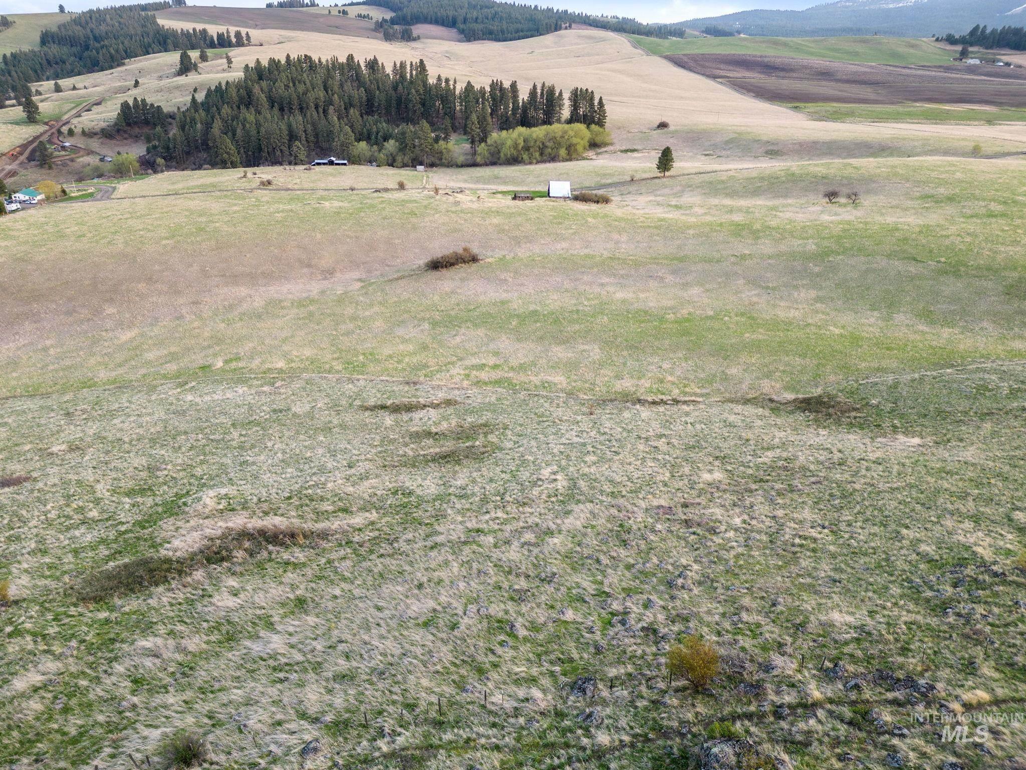 TBD Reservation Line Rd, CottonWood, Idaho 83522, Farm & Ranch For Sale, Price $1,247,876, 98876583