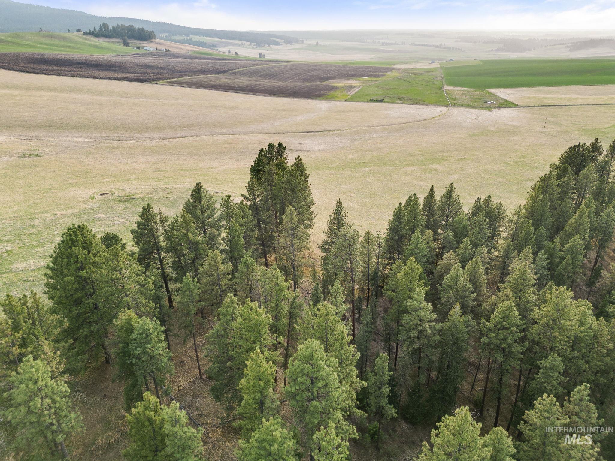 TBD Reservation Line Rd, CottonWood, Idaho 83522, Farm & Ranch For Sale, Price $1,247,876, 98876583