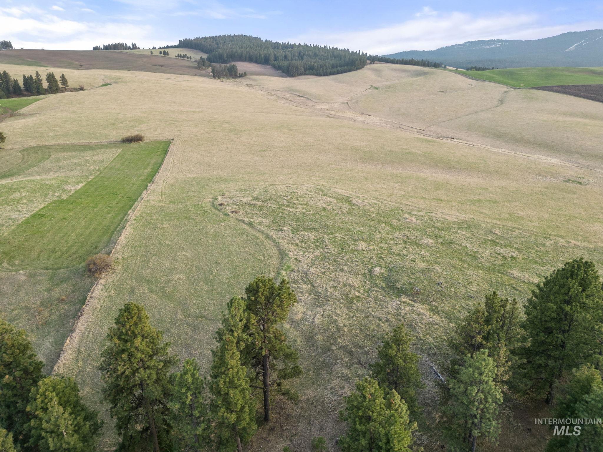 TBD Reservation Line Rd, CottonWood, Idaho 83522, Farm & Ranch For Sale, Price $1,247,876, 98876583